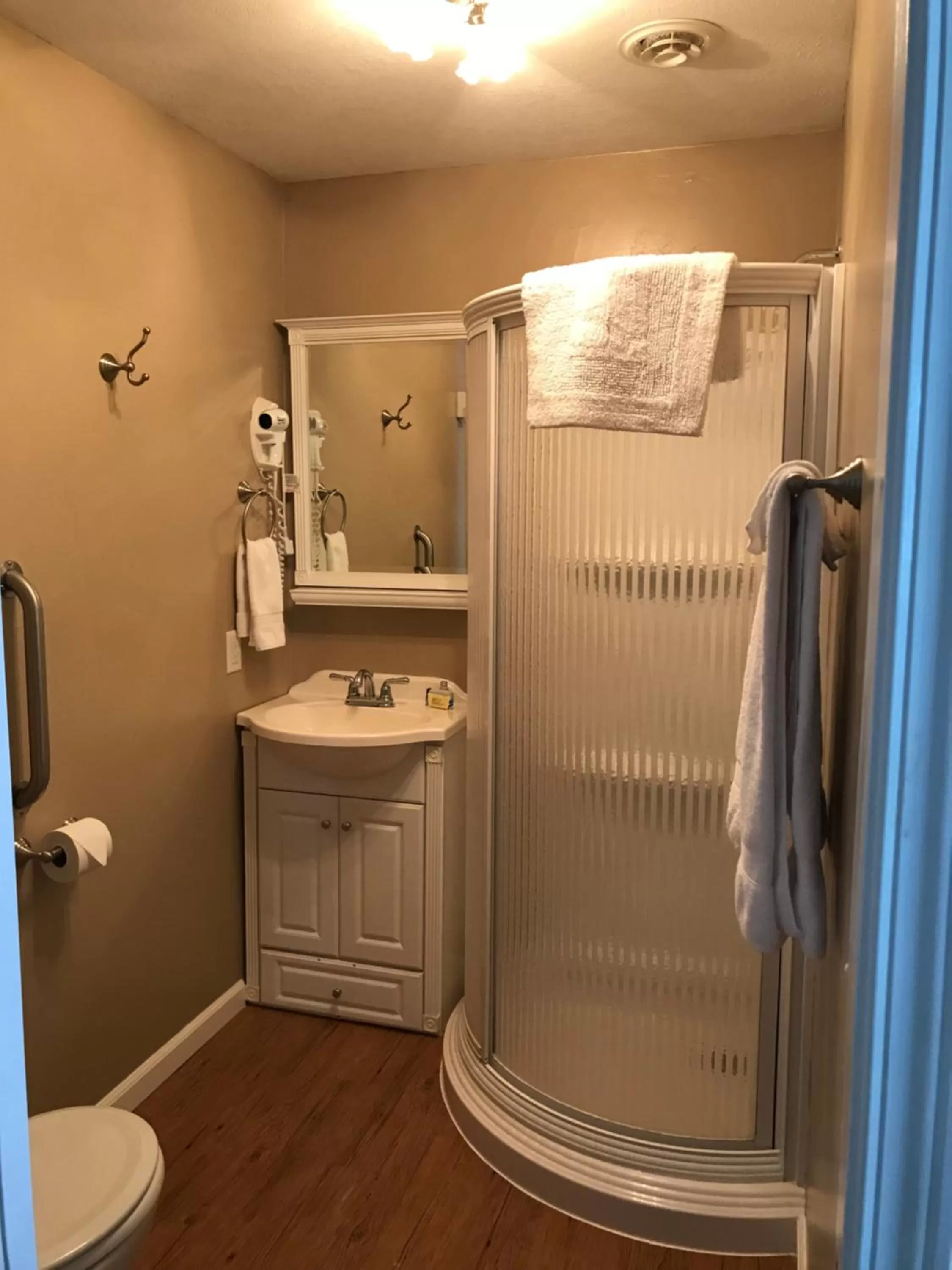 Toilet, Bathroom in McKinley View B&B