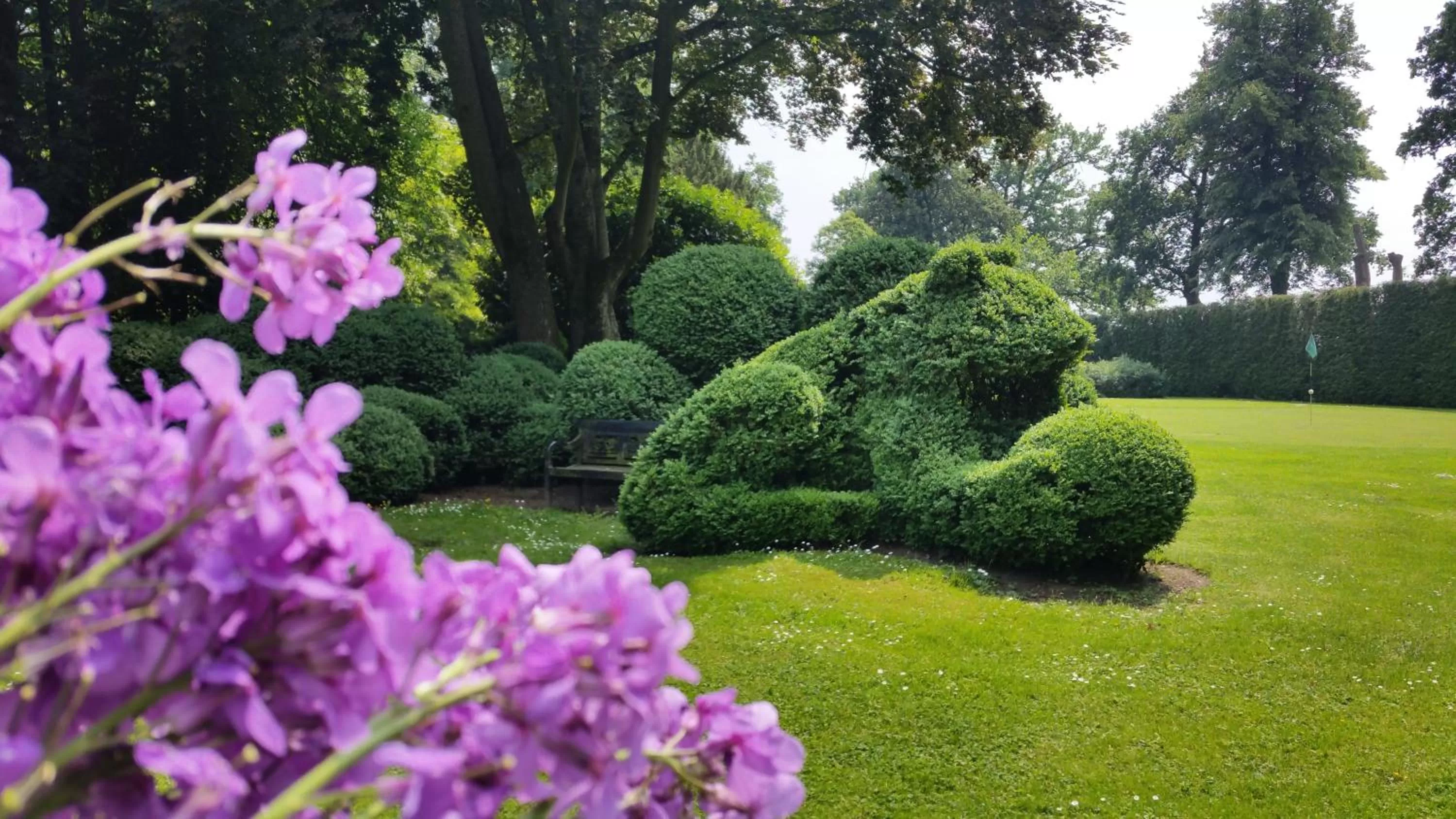 Garden in B&B en SPA Landgoed Matanze