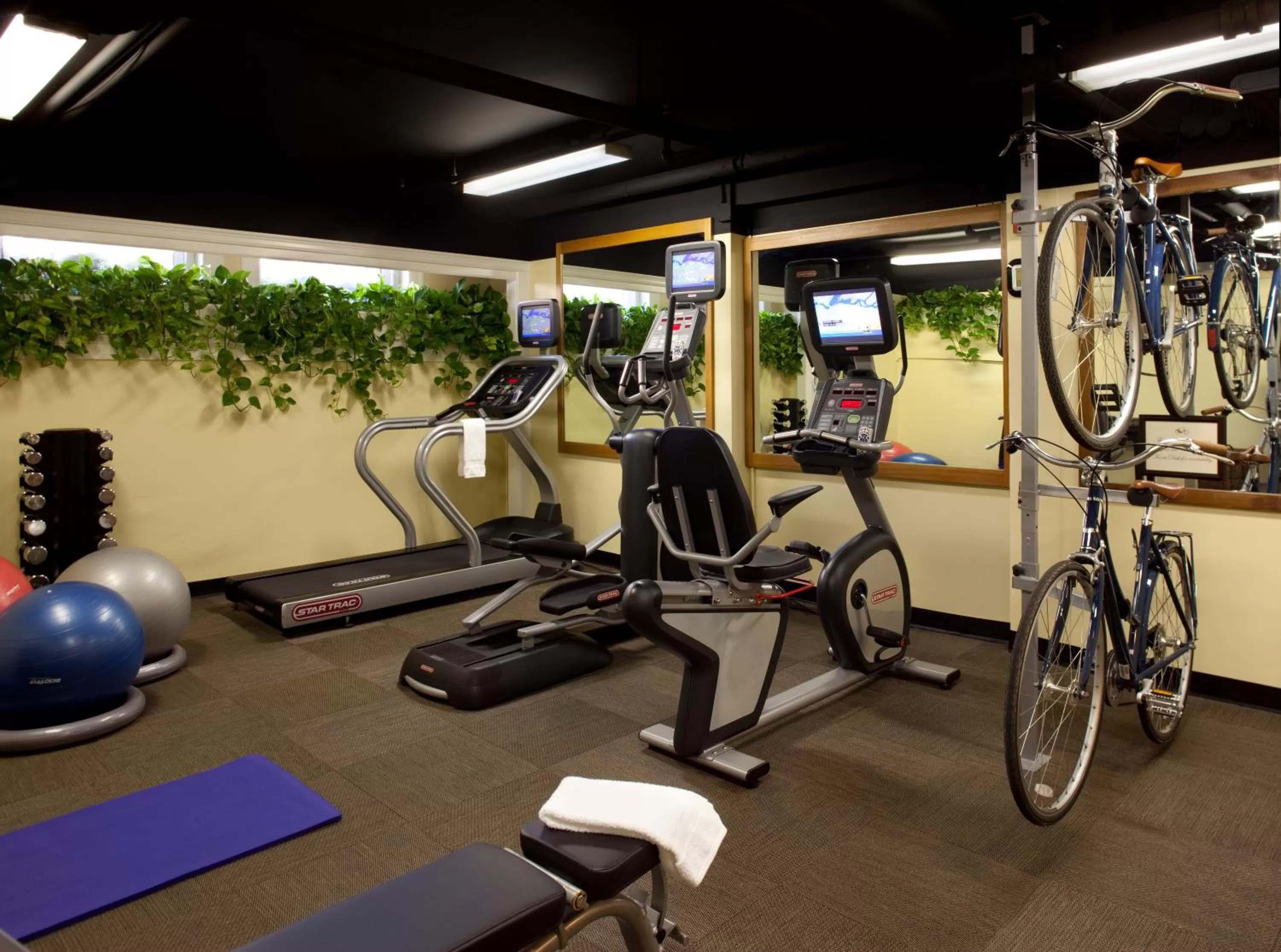 Fitness centre/facilities in Hotel Drisco