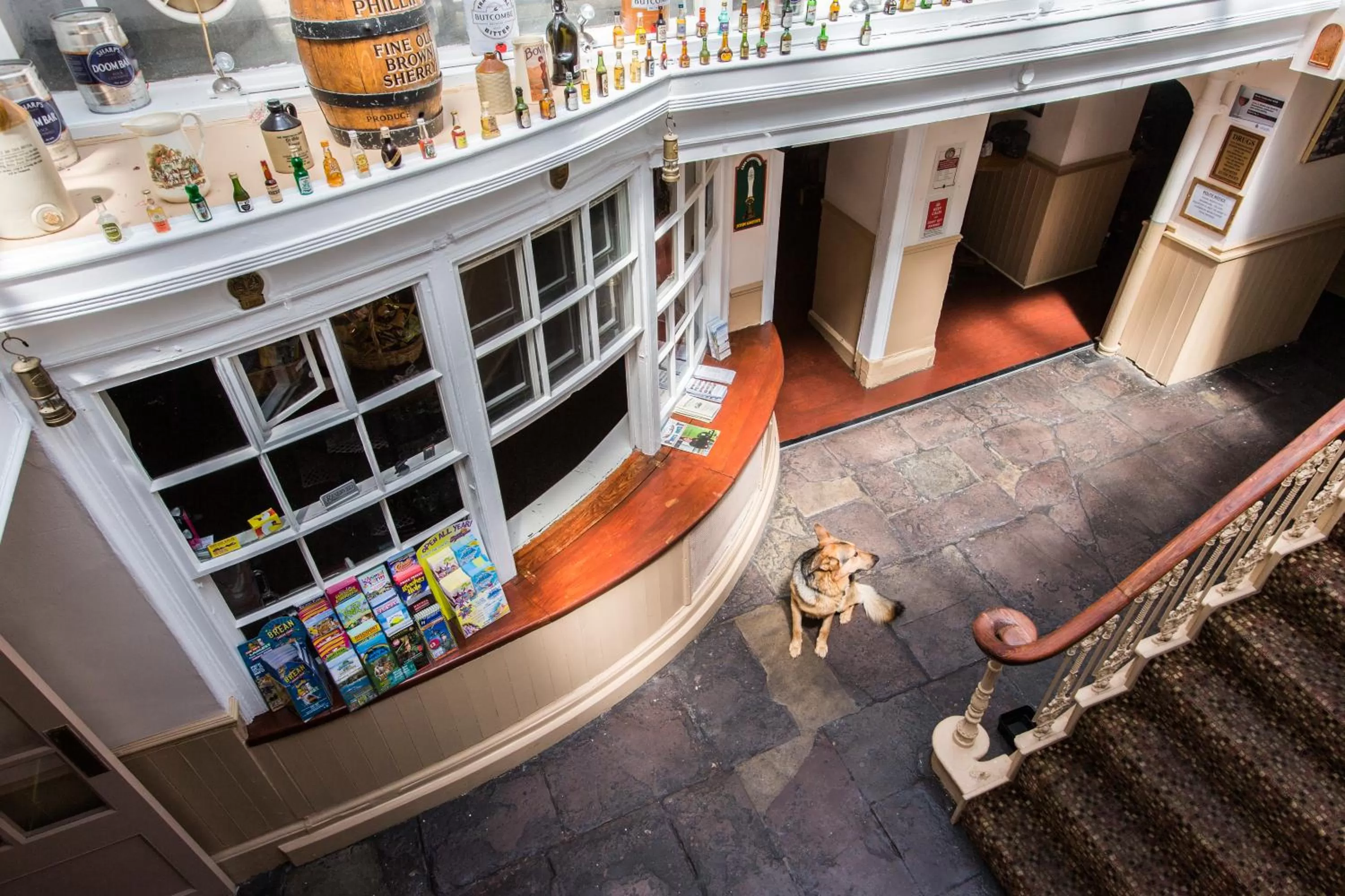 View (from property/room) in The Swan