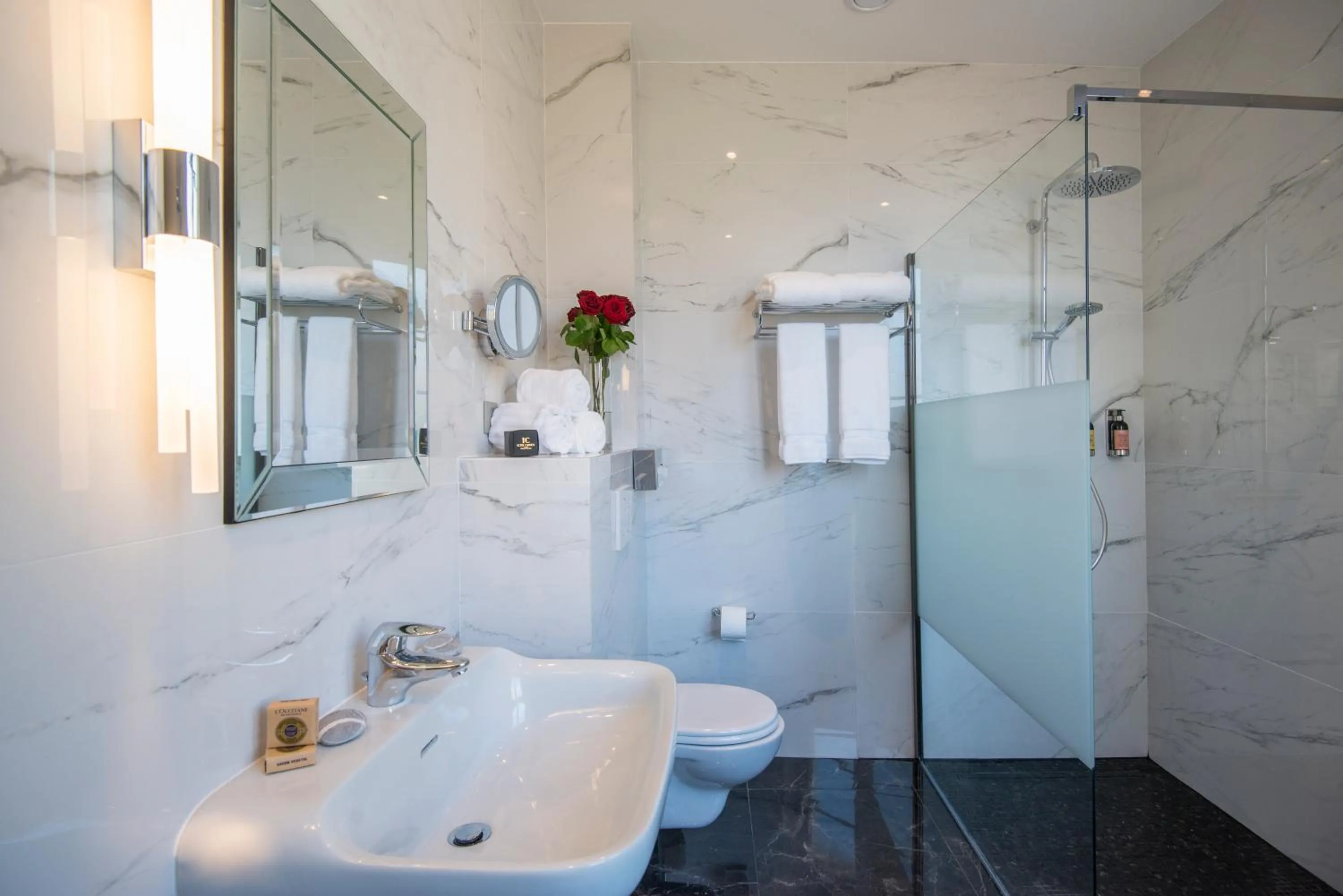 Superior Double Room in Hotel Carlton