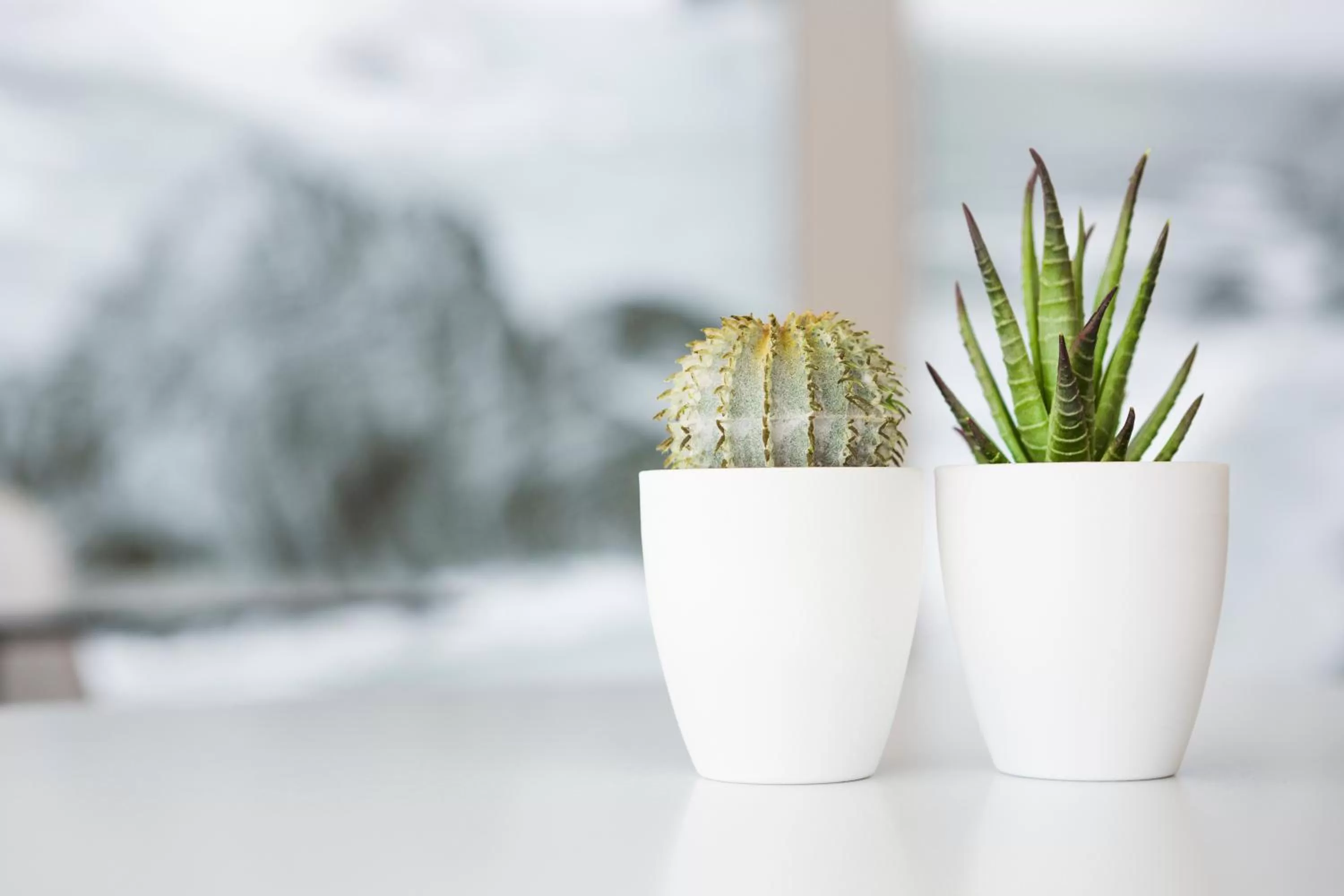 Decorative detail in Hotel Alcatruz