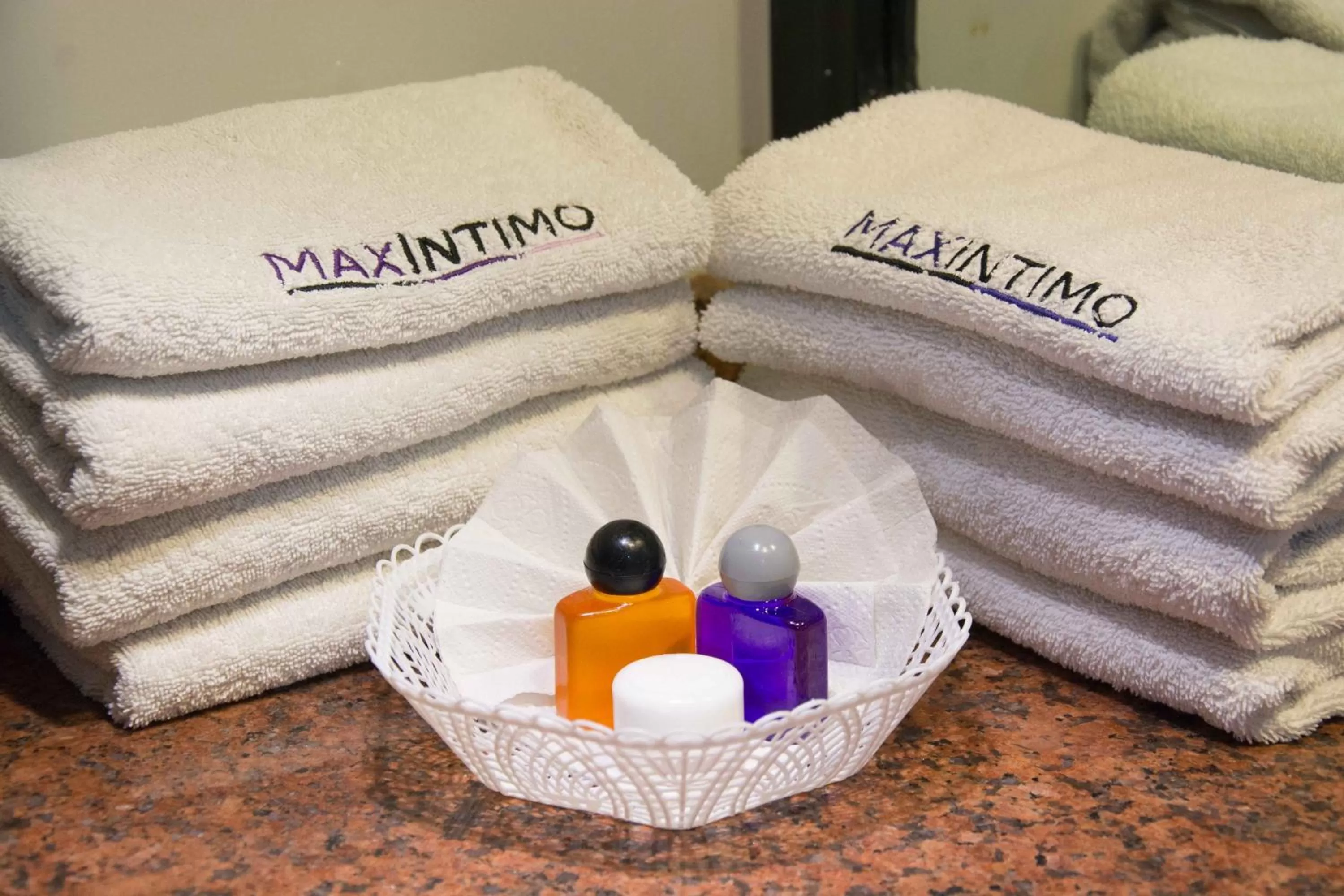 Bathroom in Hotel Max