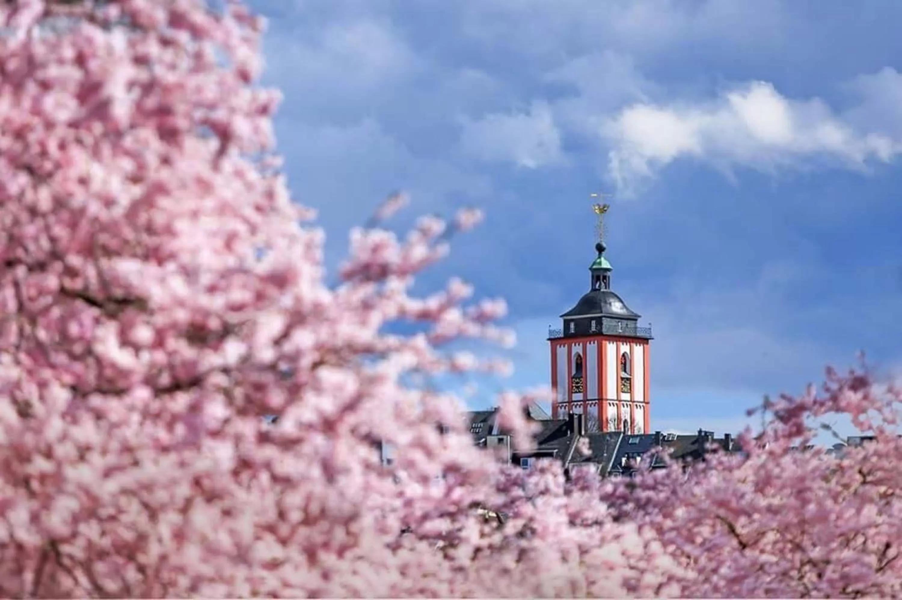 View (from property/room) in Amedia Hotel Siegen City, Trademark Collection by Wyndham