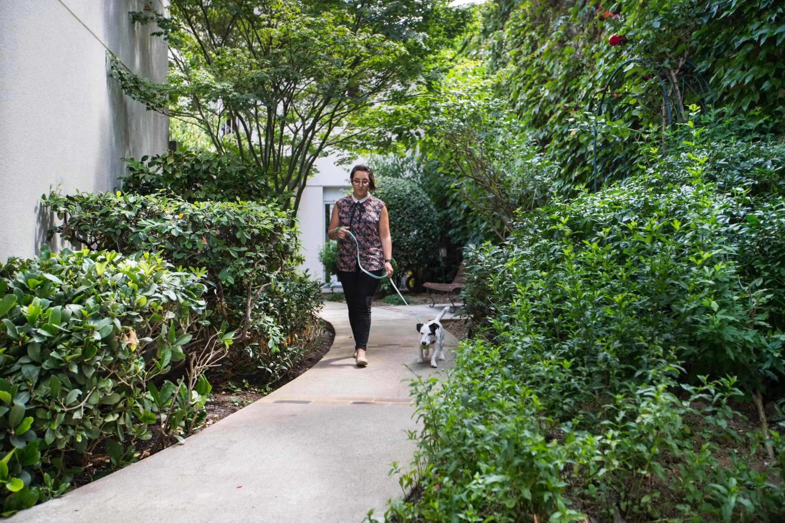 Animals in HOTEL DE PARIS MONTPARNASSE