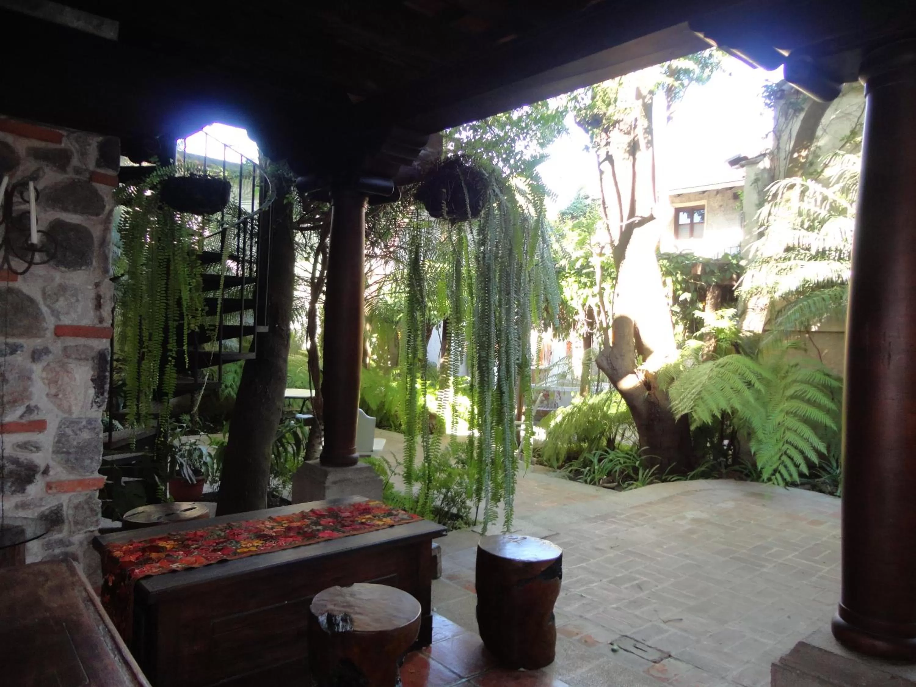 Garden in Cissus Hotel Boutique