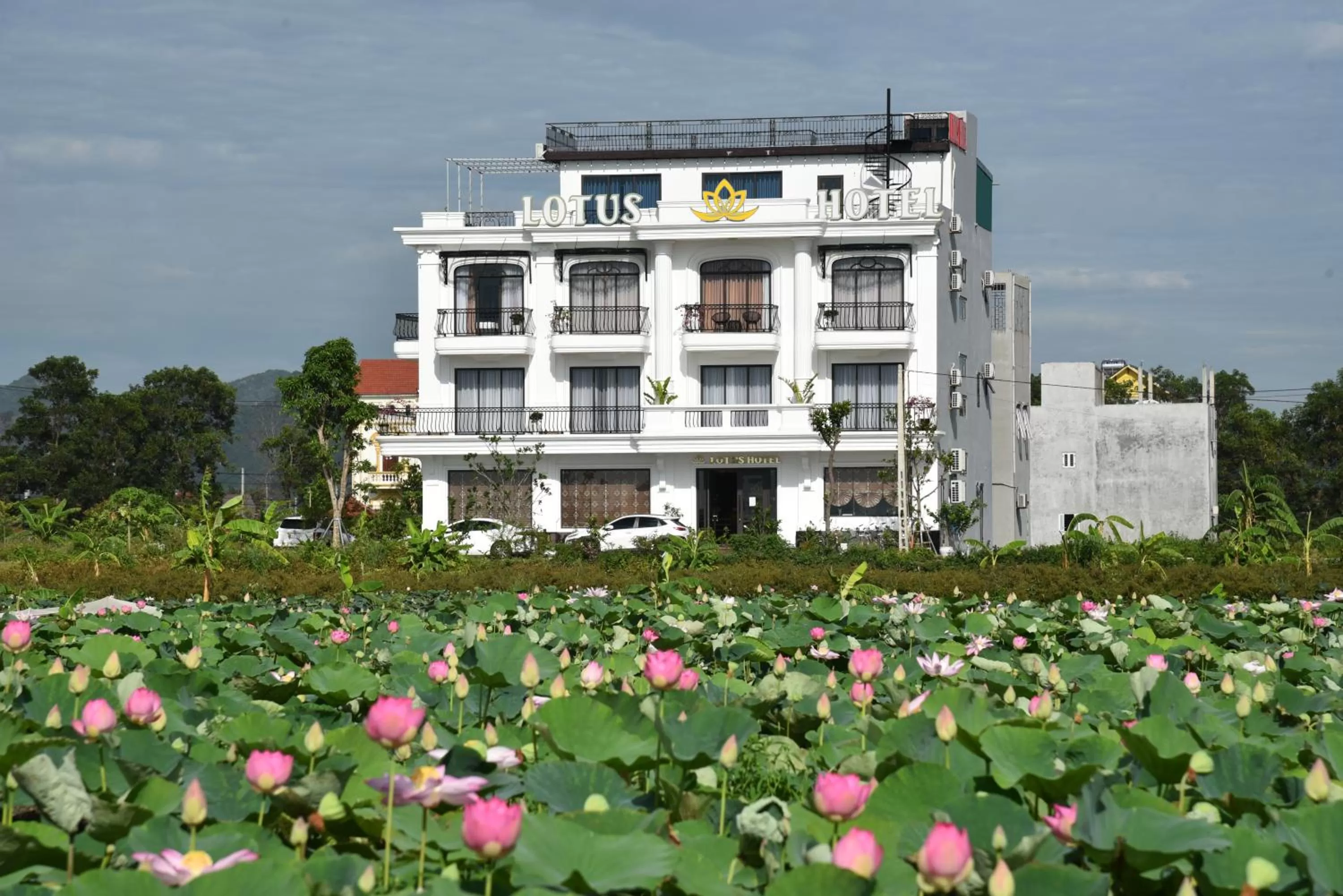 Nearby landmark in Lotus Hotel Ninh Bình