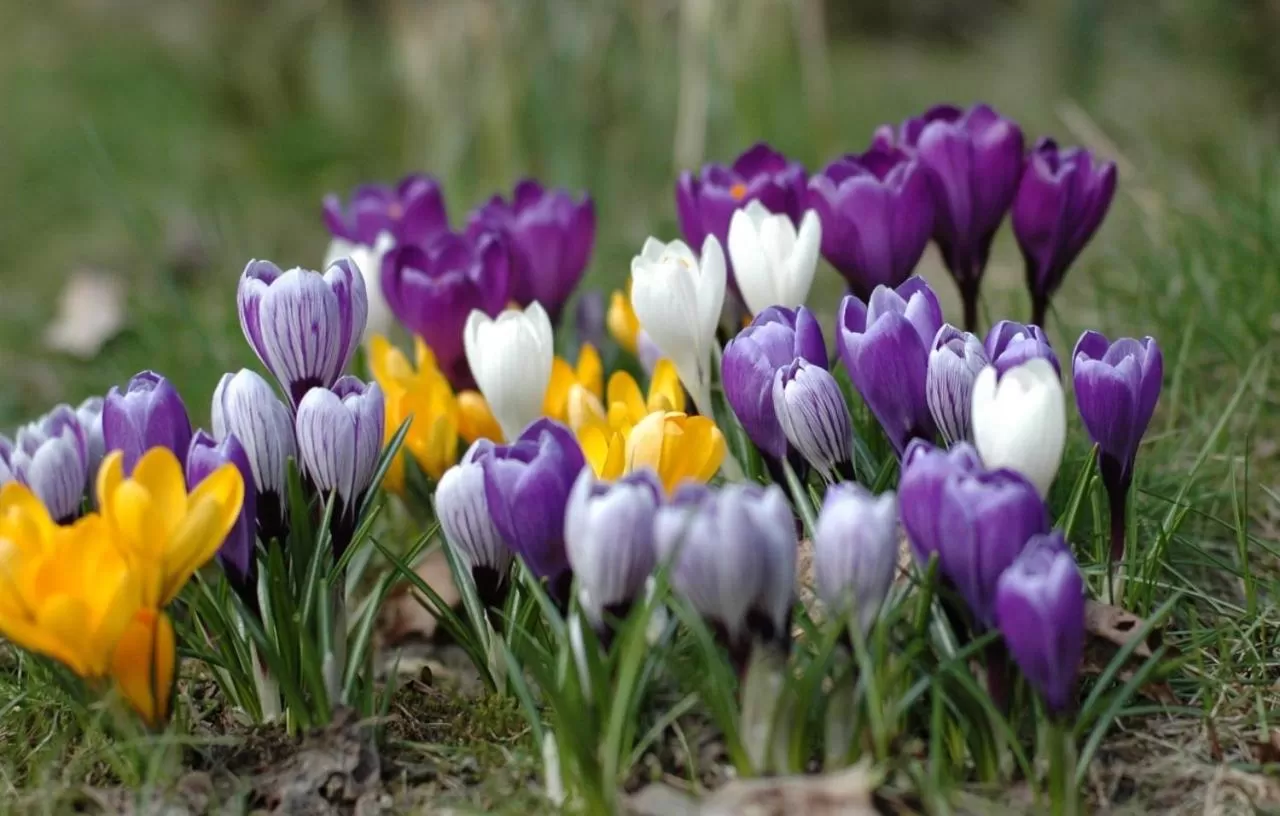 Other Animals in B&B en SPA Landgoed Matanze