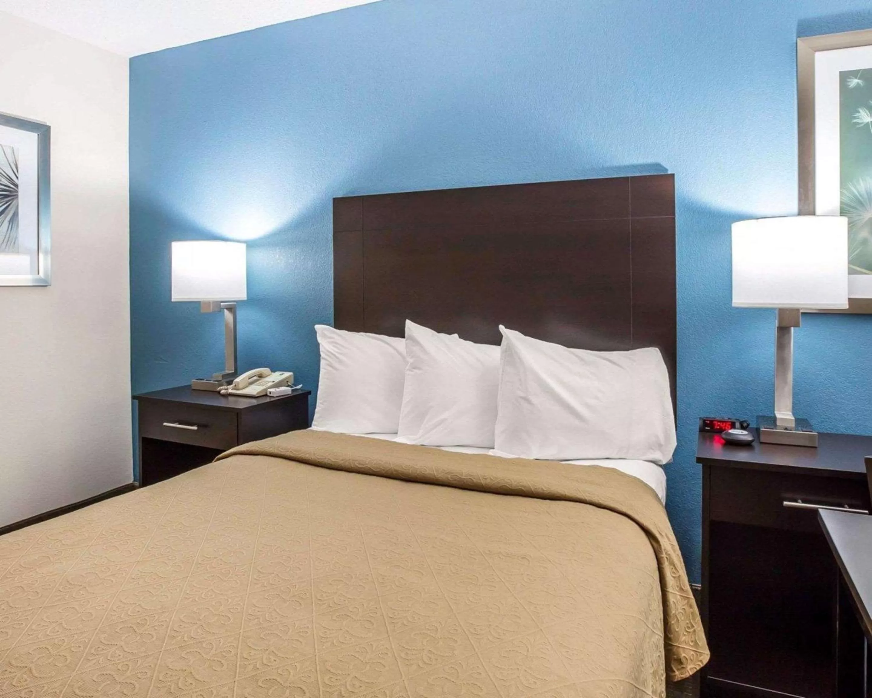 Photo of the whole room, Bed in Quality Inn Macon West