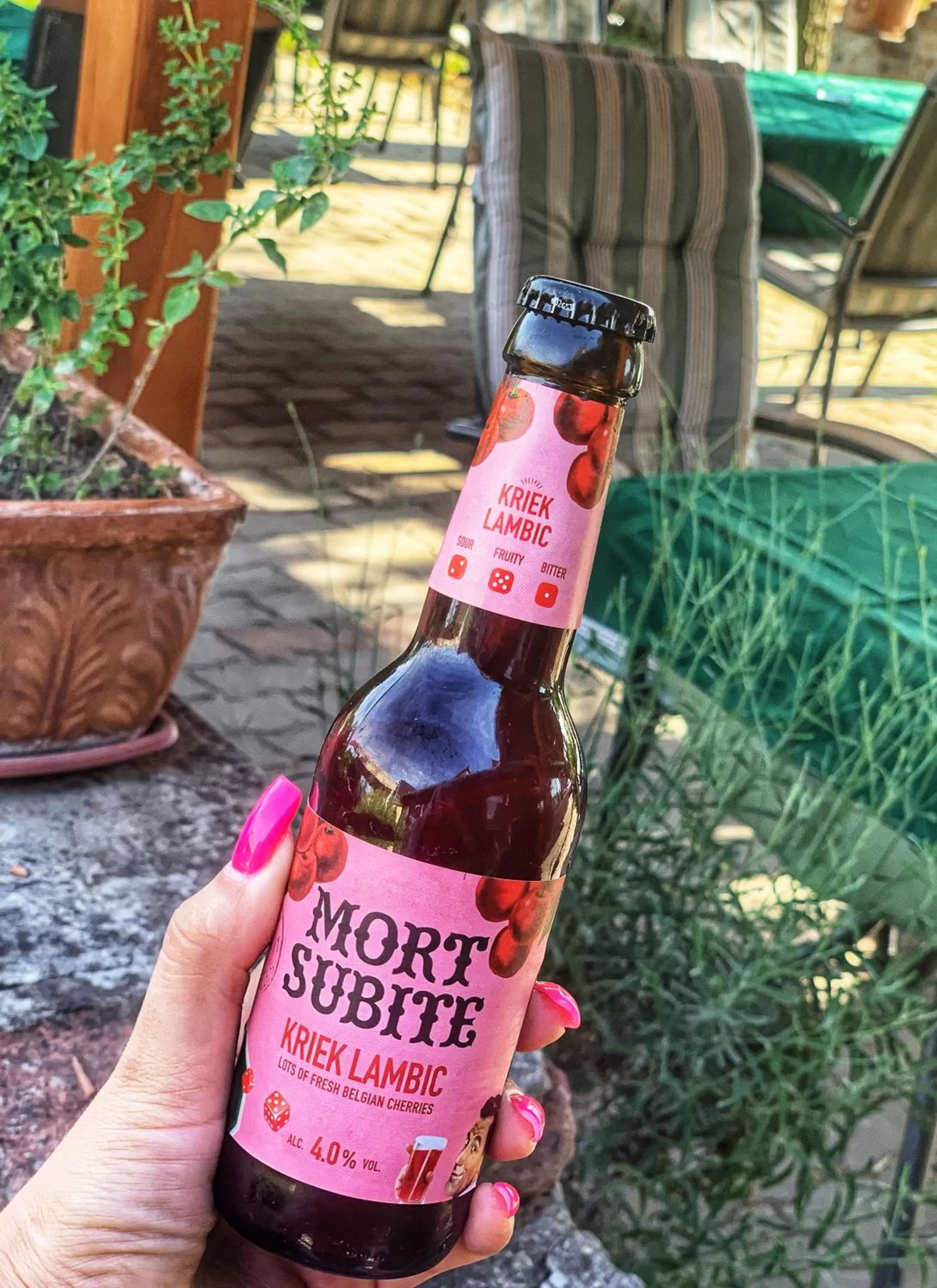 Restaurant/places to eat in Hotel Zéta