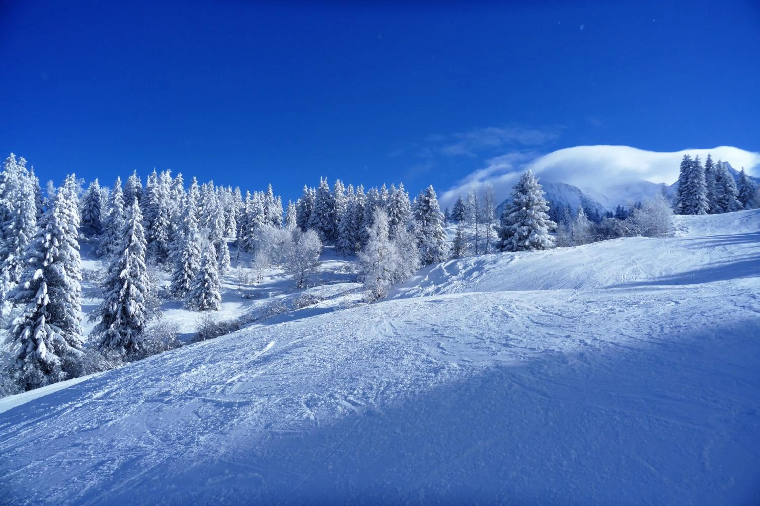 Skiing in Chalet Hôtel du Bois