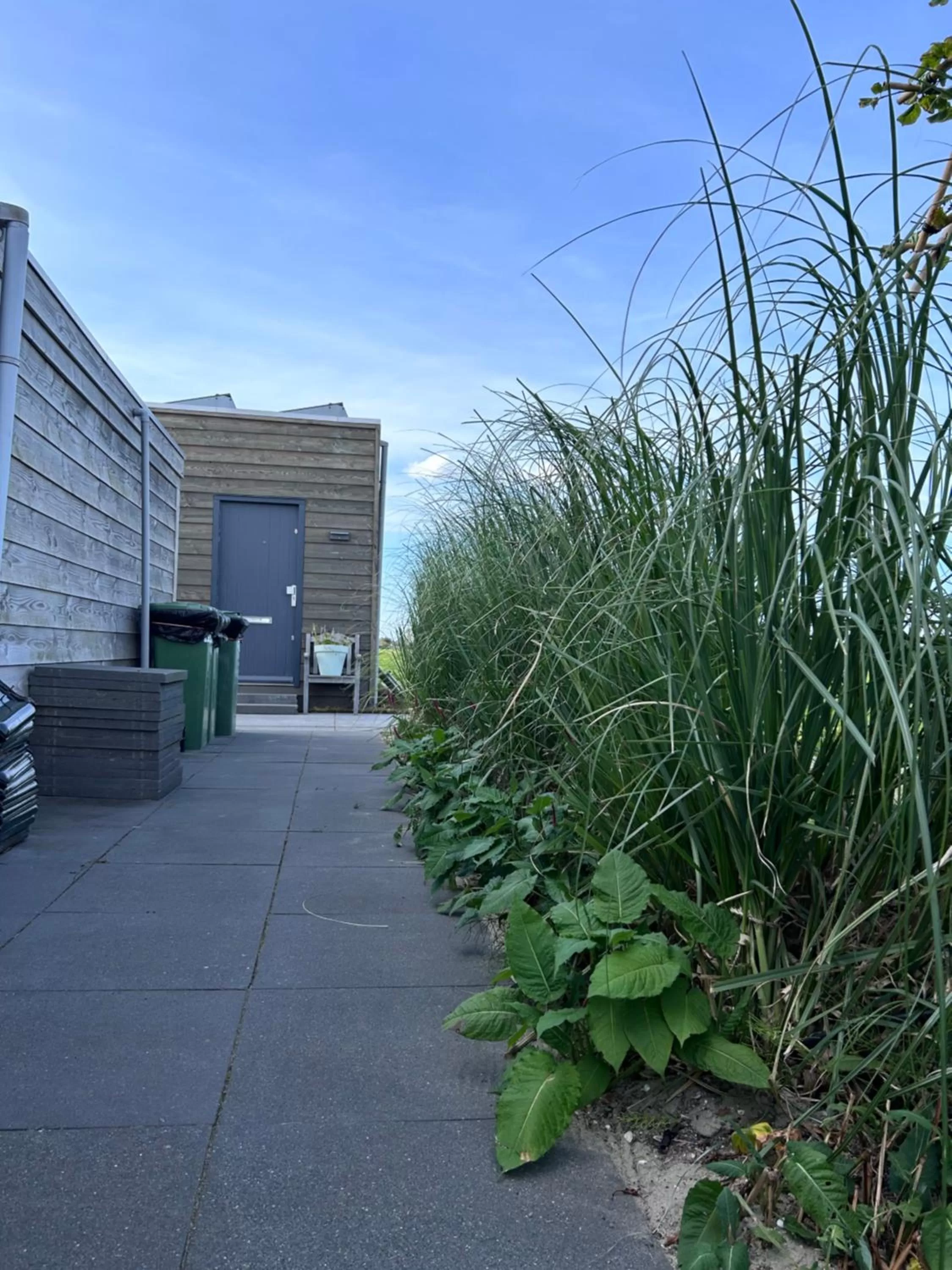 Property Building in Blossombed
