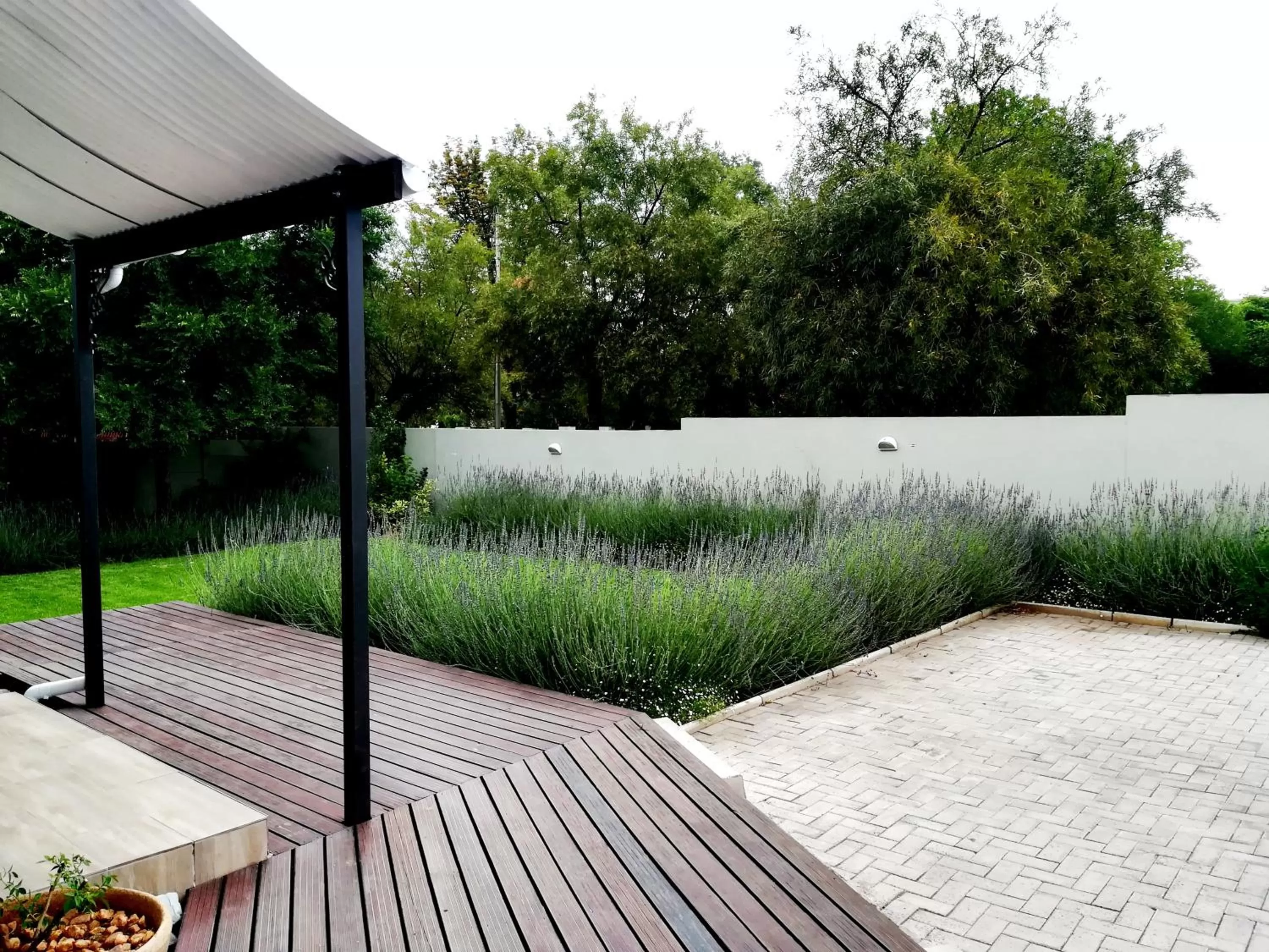 Garden in Tranquil House B&B @ 1 College Ave