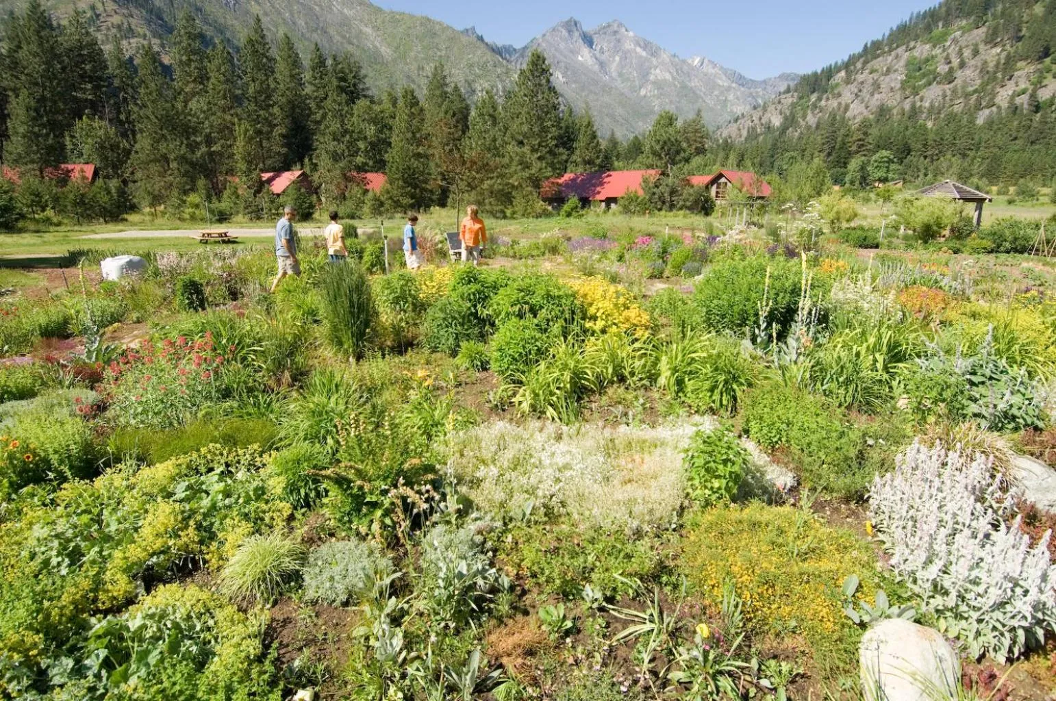 Garden in Sleeping Lady Mountain Resort