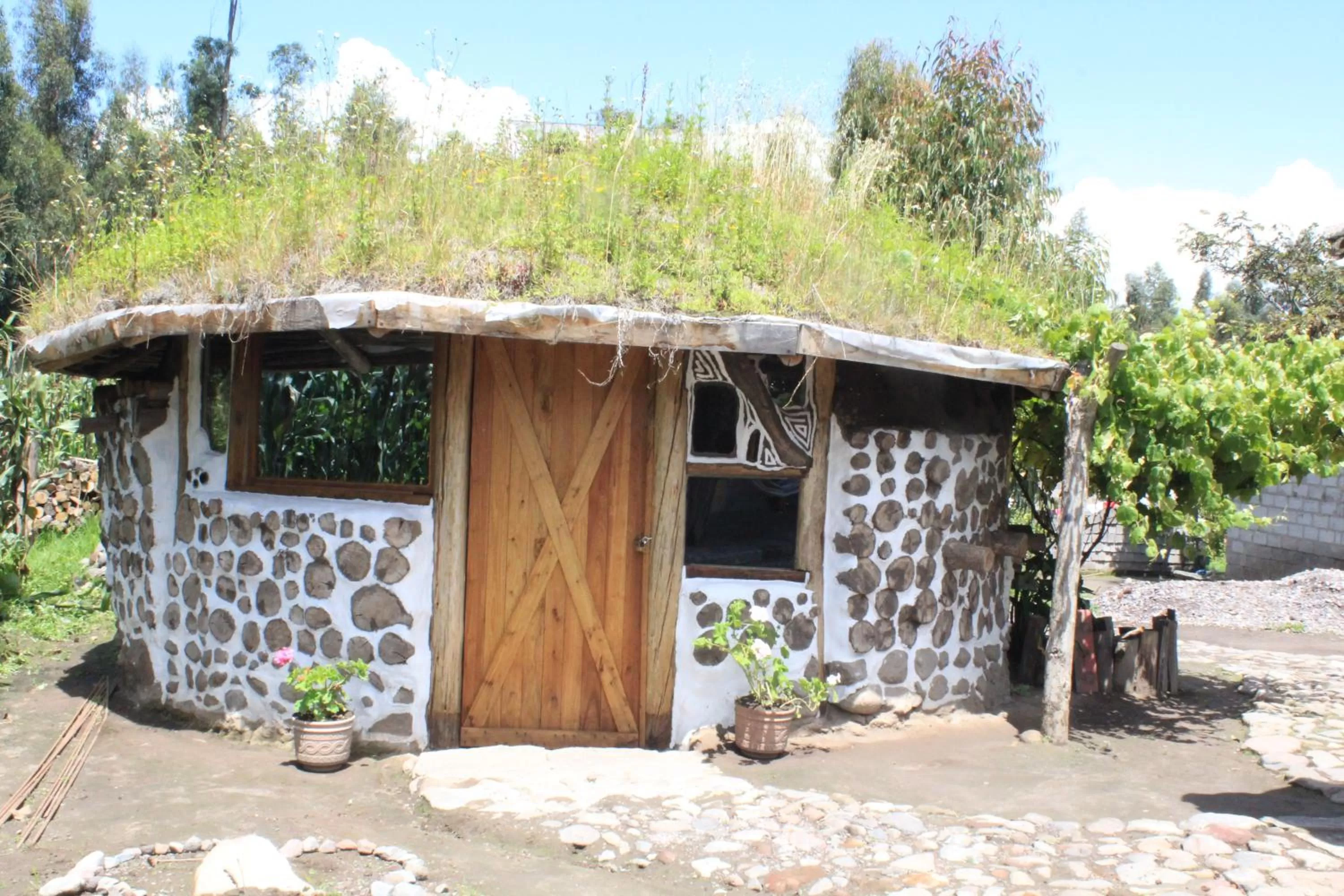 Property Building in El Tio Hostal