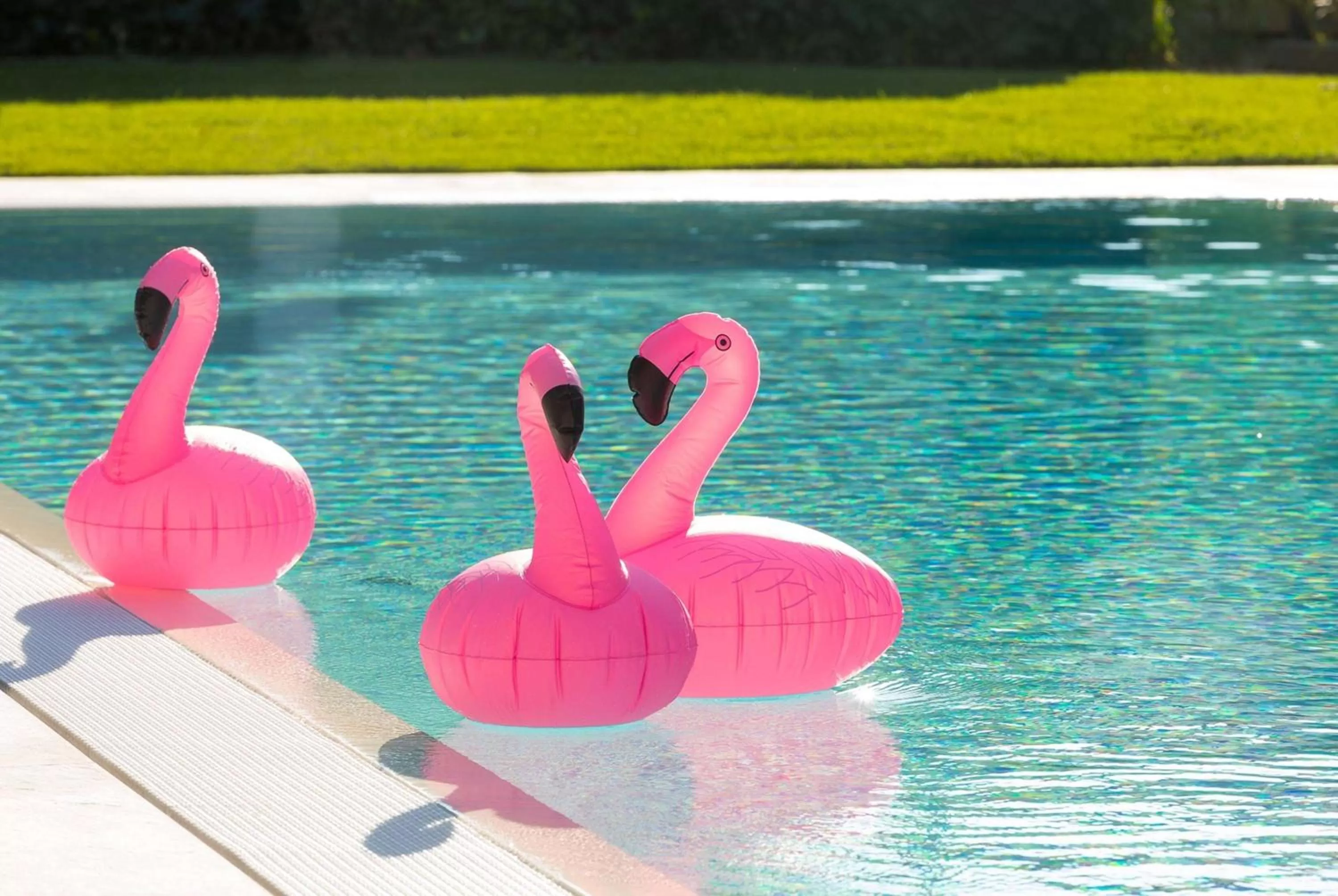 Pool view in Ramada Plaza by Wyndham Milano