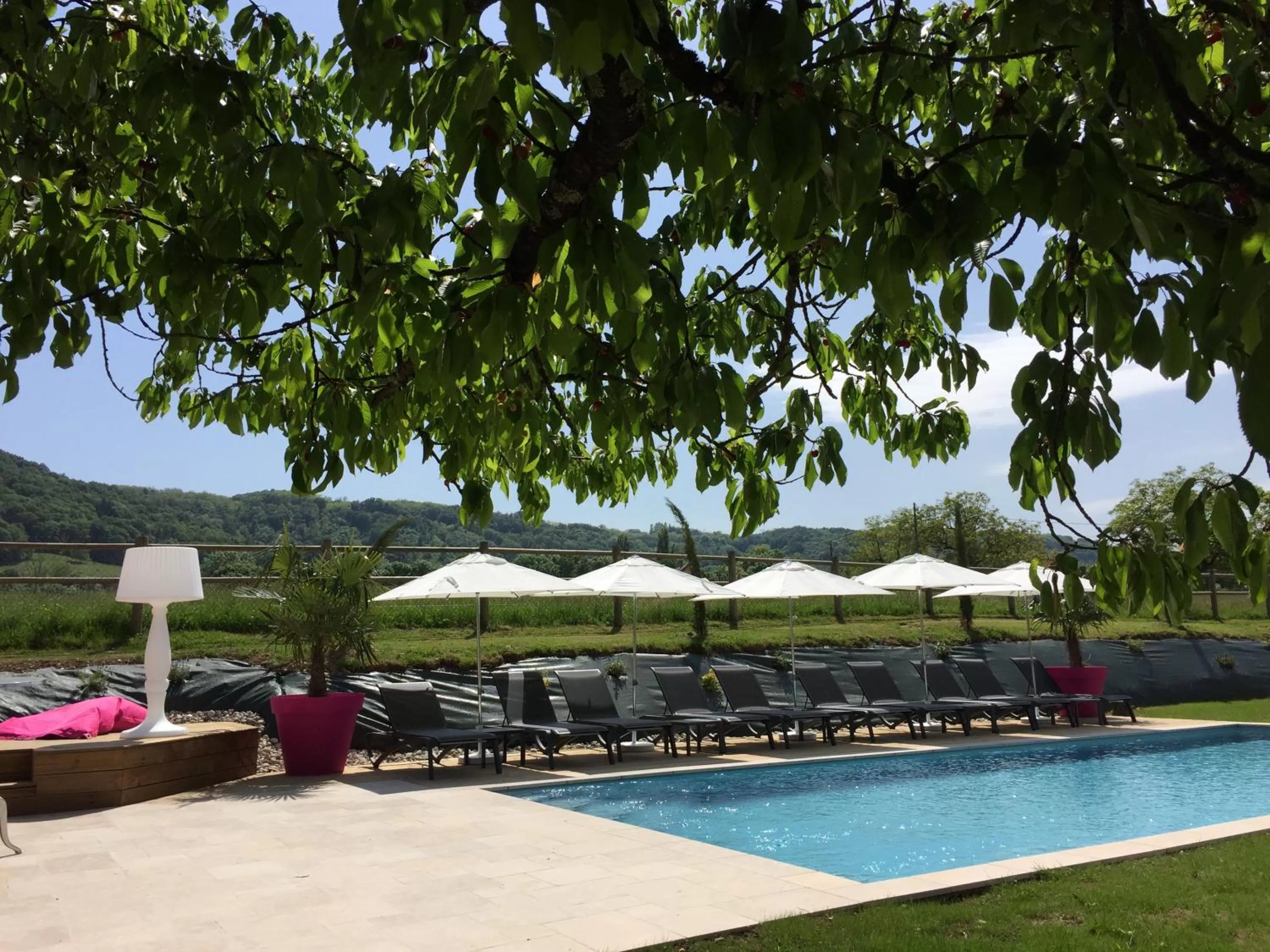 Swimming pool in Domaine de Suzel