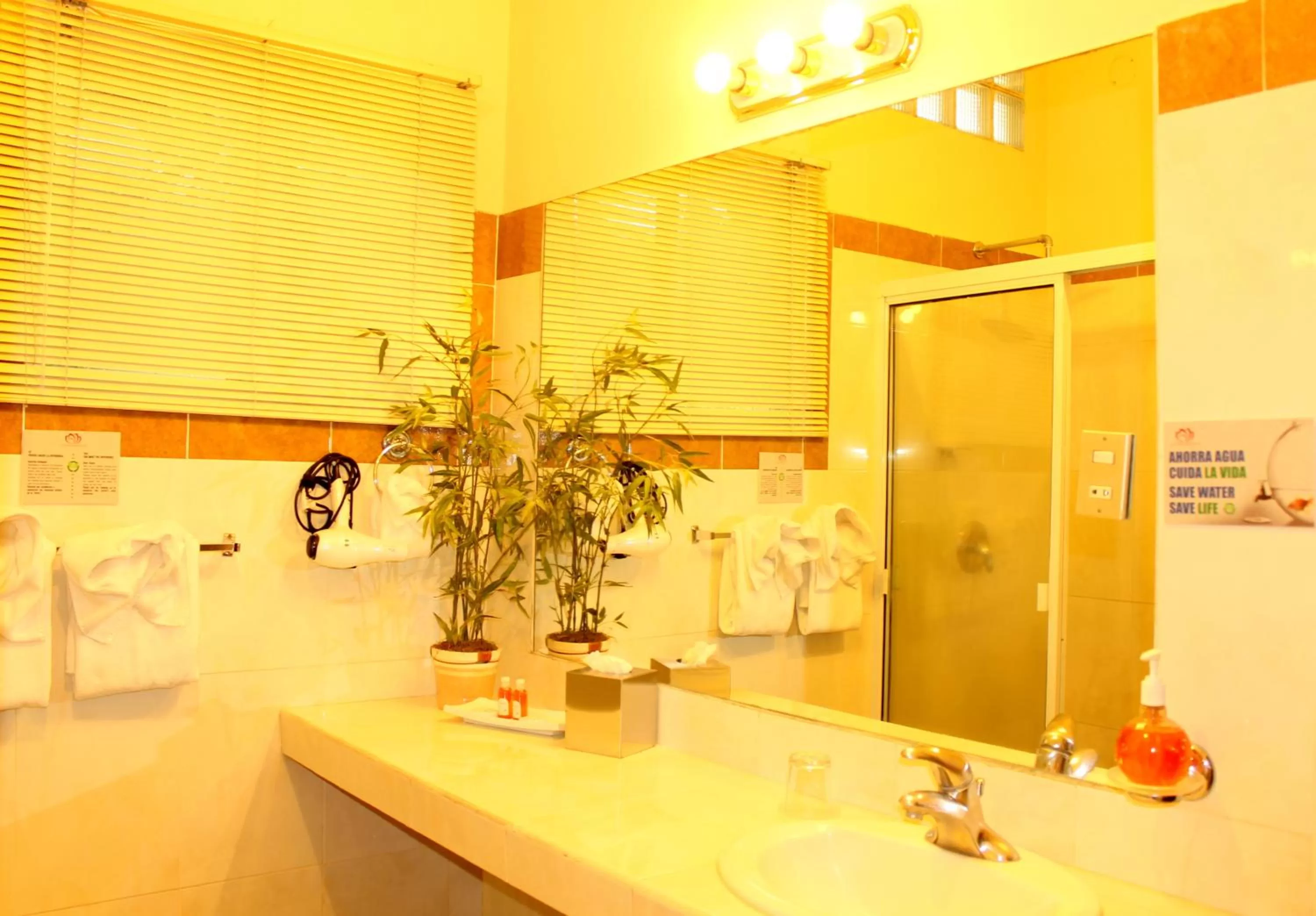 Decorative detail in Las Magnolias Hotel Boutique