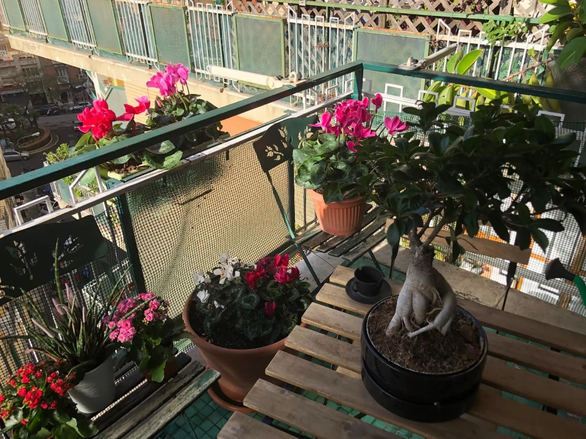 Property building in B&B Da Vito a San Martino