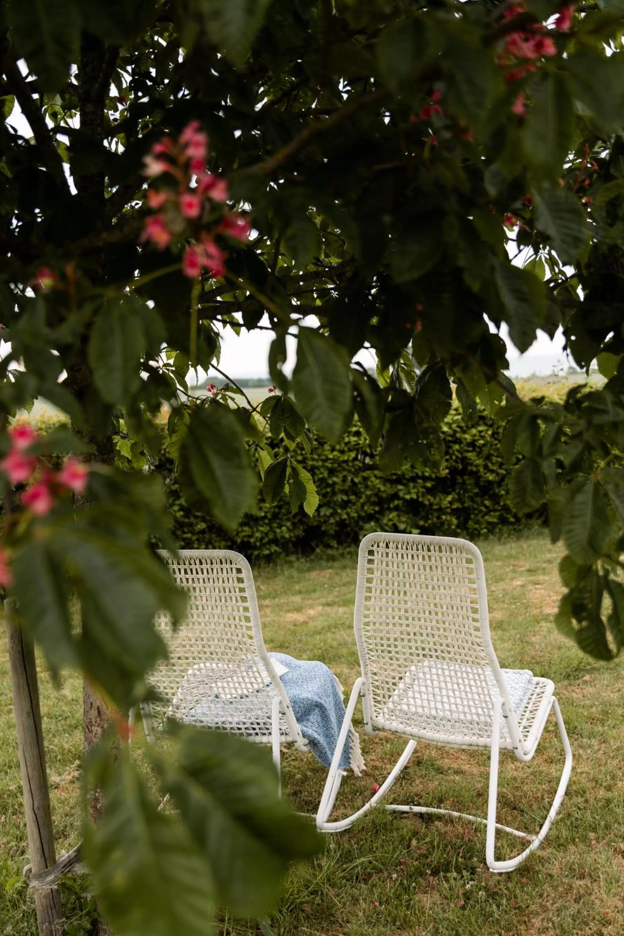 Garden in Sköllengården