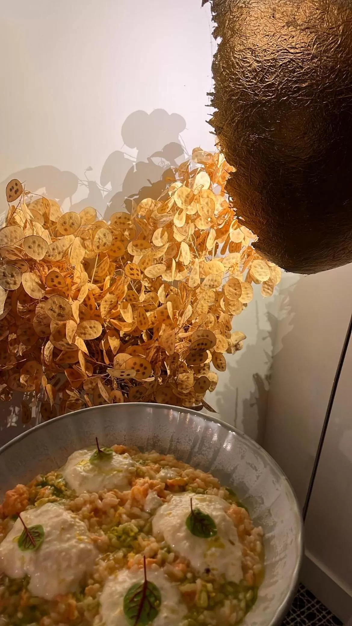 Property building in Hôtel Des Gouverneurs