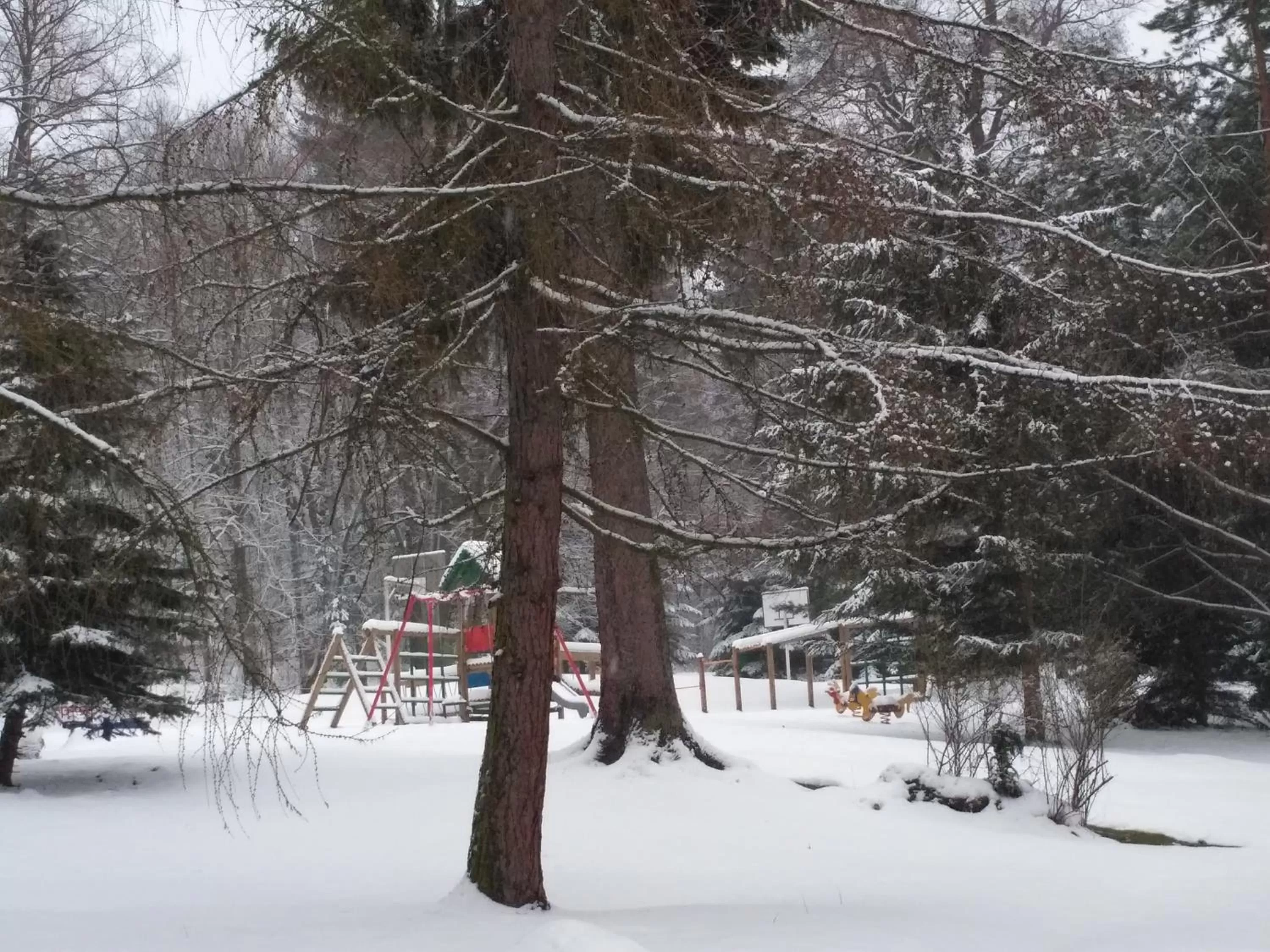 Garden view in OWR Relax - Hostel położony blisko atrakcji turystycznych