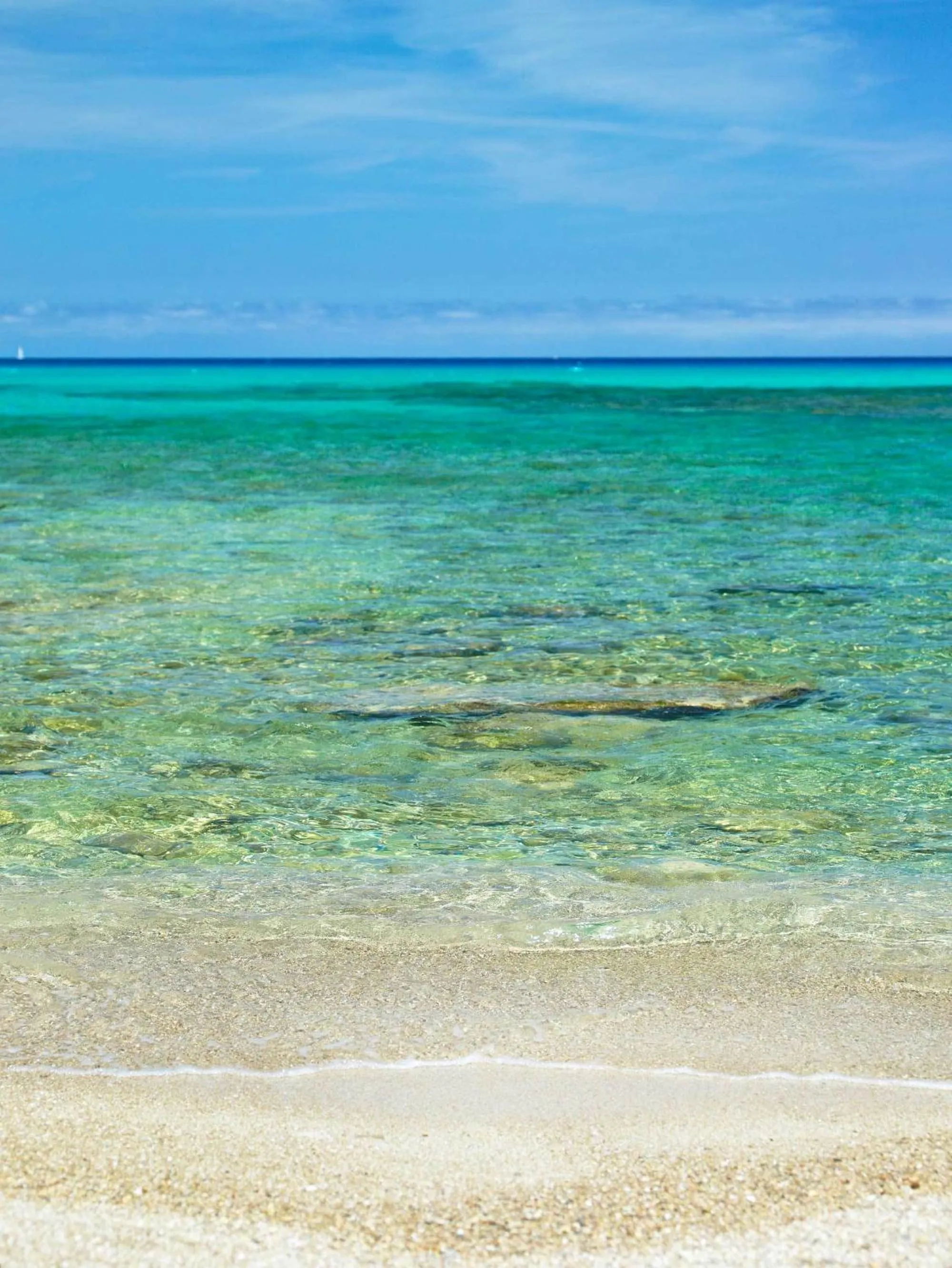 Area and facilities in Hotel Cala Sant Vicenç - Adults Only