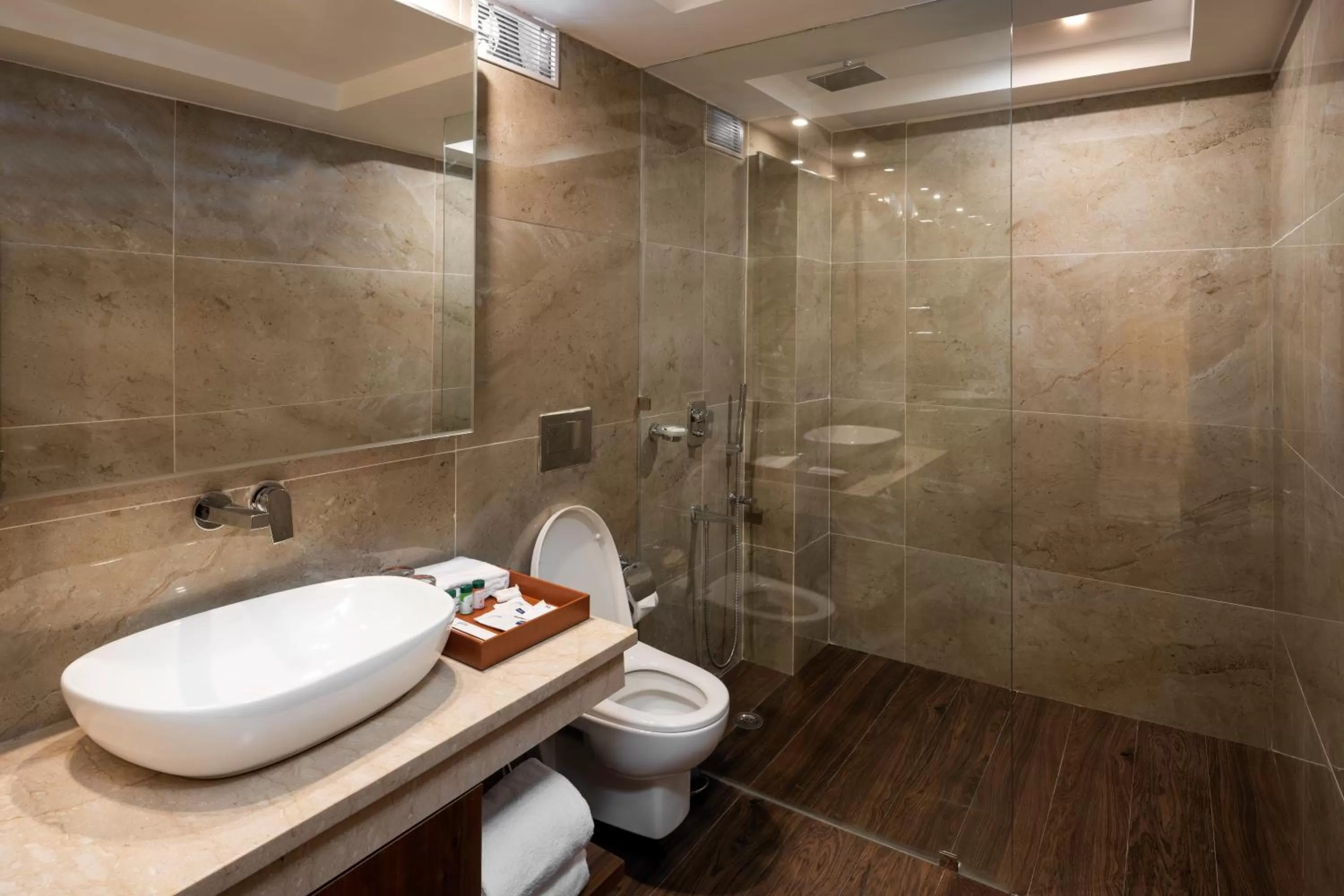 Bathroom in Cygnett Inn Paras