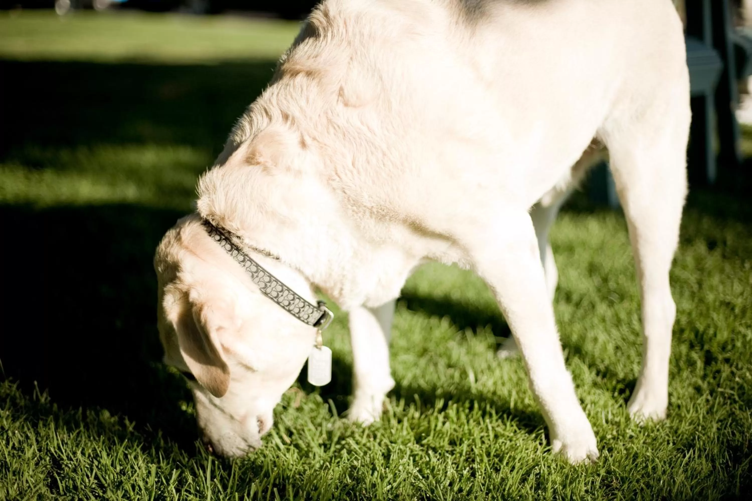 Decorative detail in Cambria Shores Inn