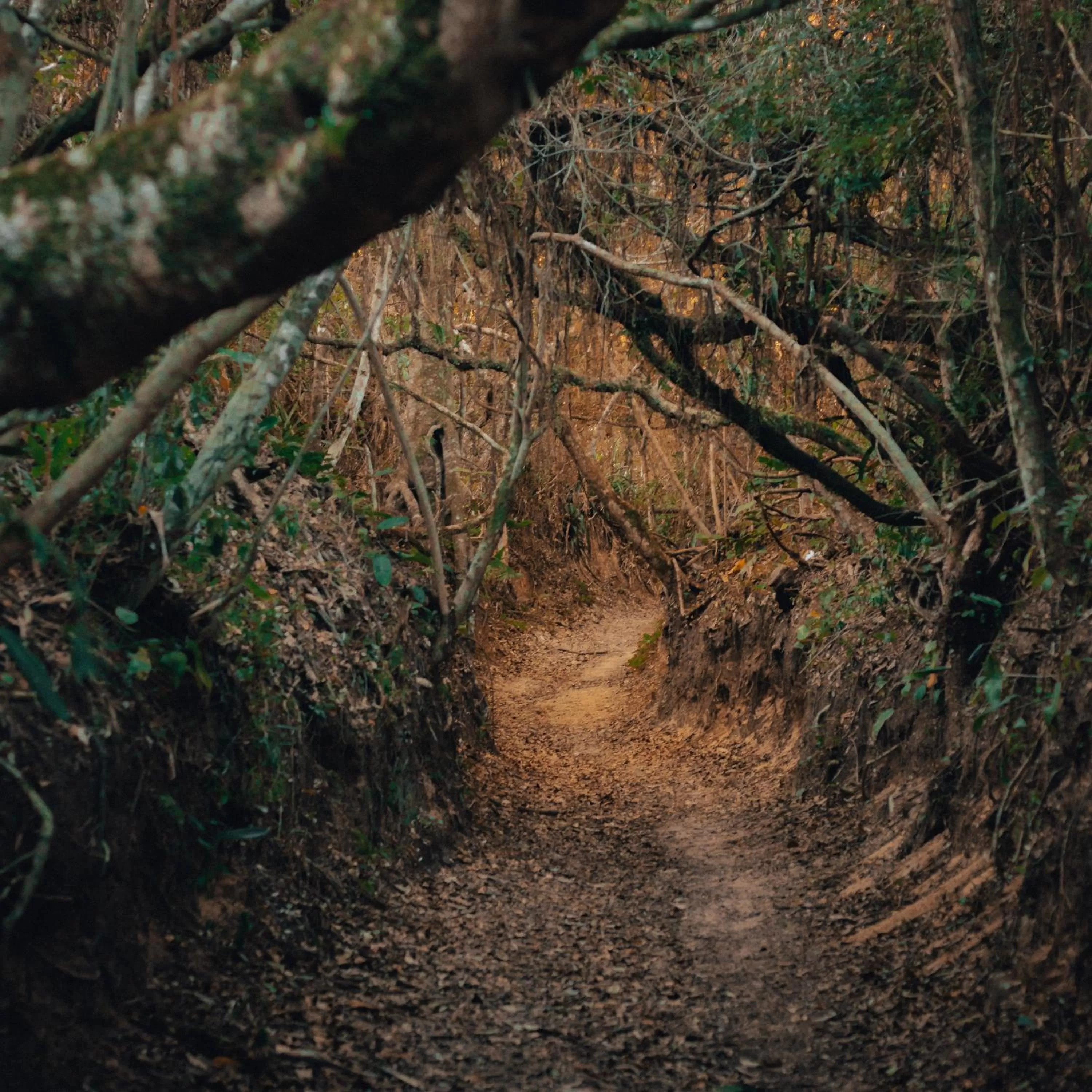 Hiking in Pousada Chaday