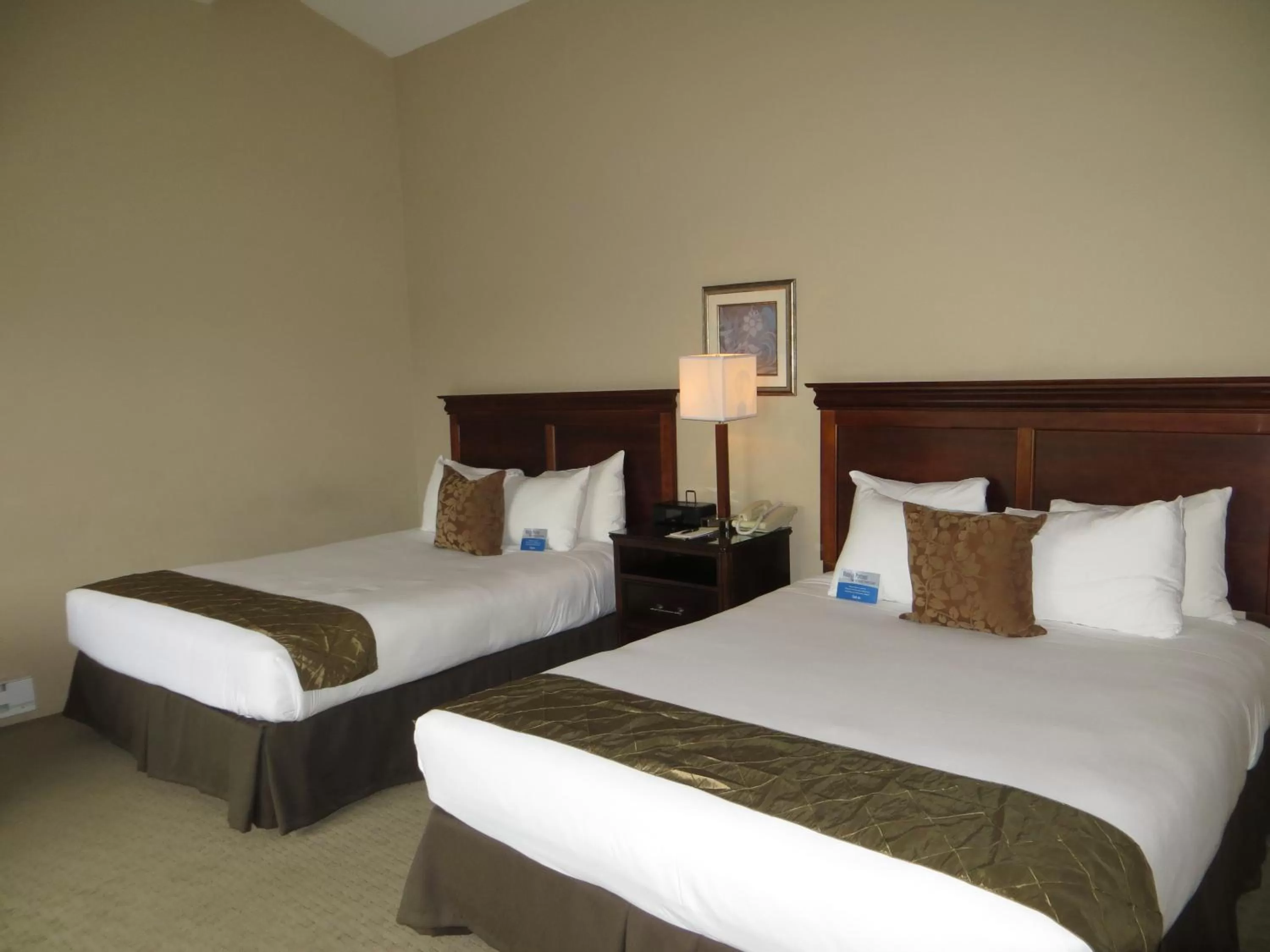 Photo of the whole room, Bed in Adobe Inn