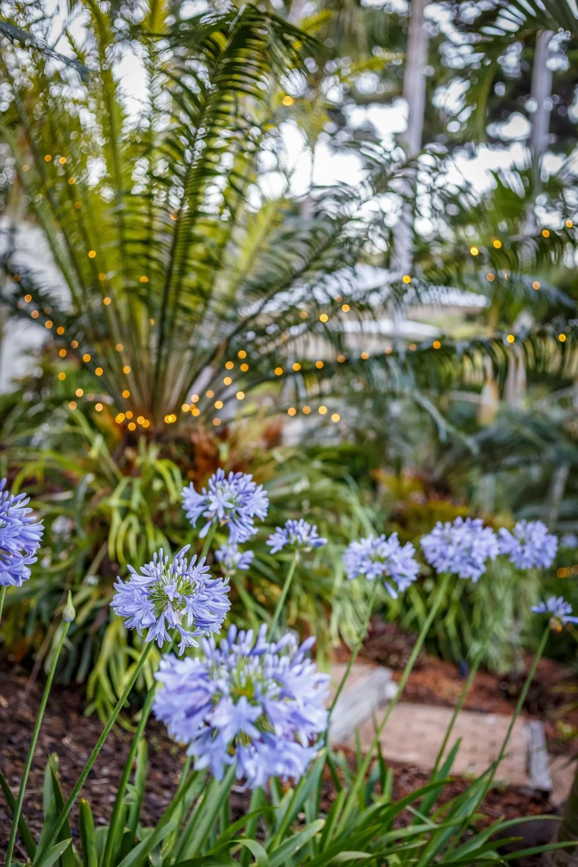 Garden in Sensom Luxury Boutique Bed and Breakfast