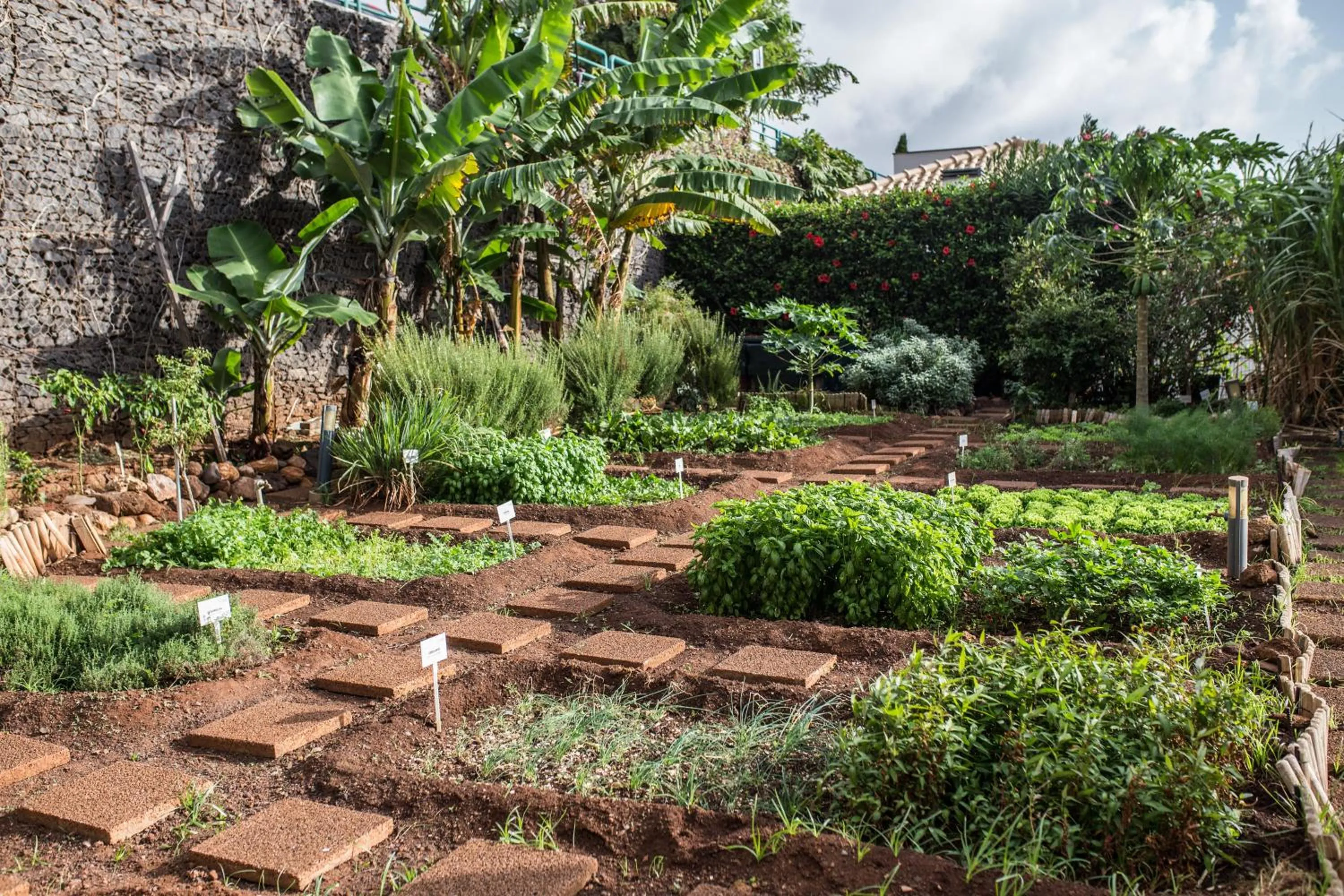 Garden in The Views Oasis