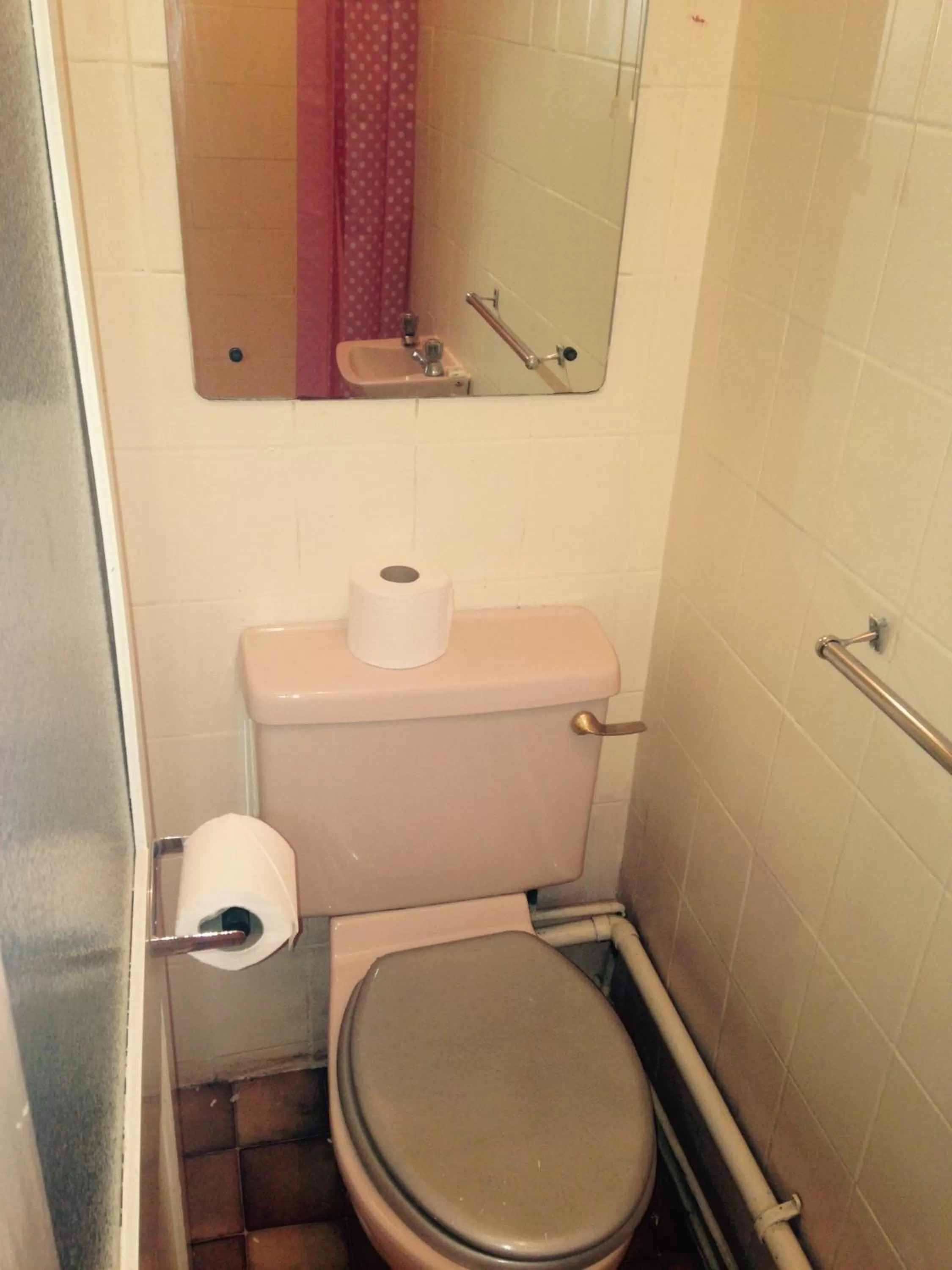 Toilet in Peek-a-Booze - Budget Hotel - Adults Only