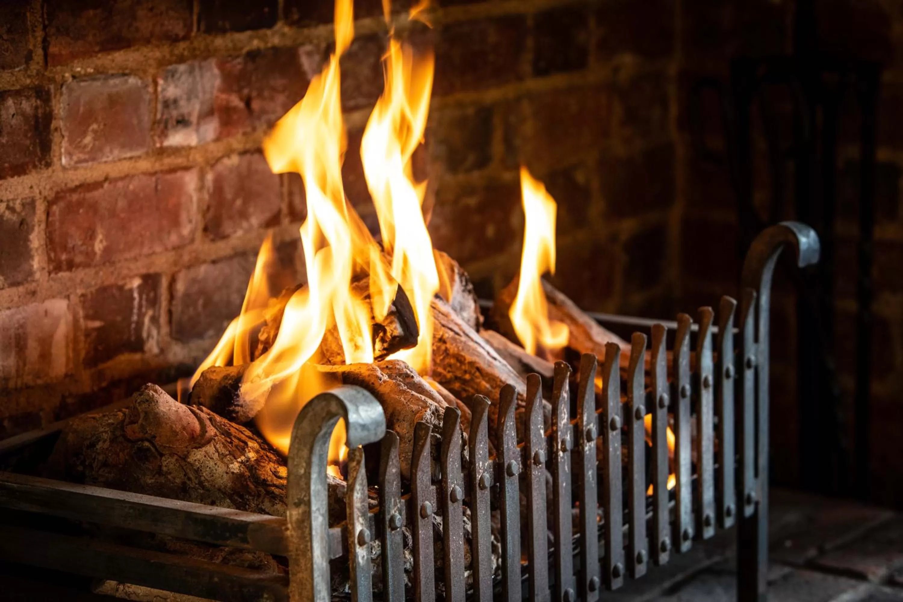 Restaurant/places to eat, BBQ Facilities in The White Horse