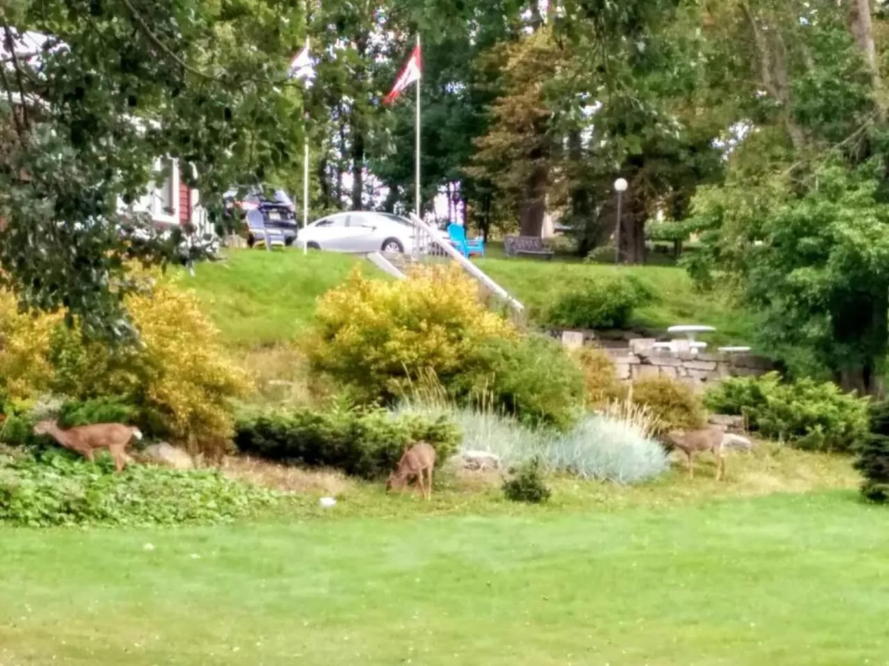 Garden view in Braeside Country Inn