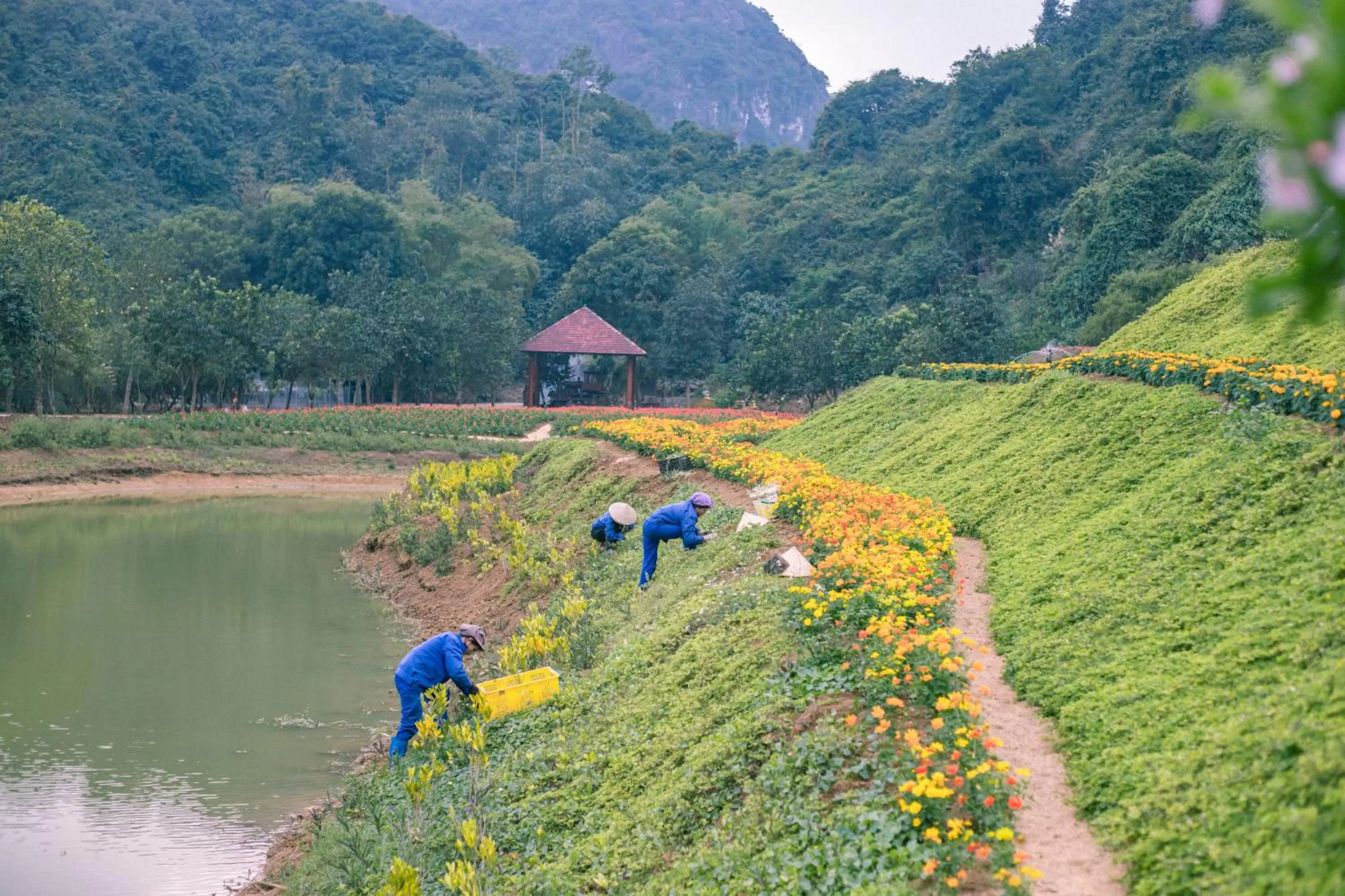 Natural landscape in Thung Nham Resort