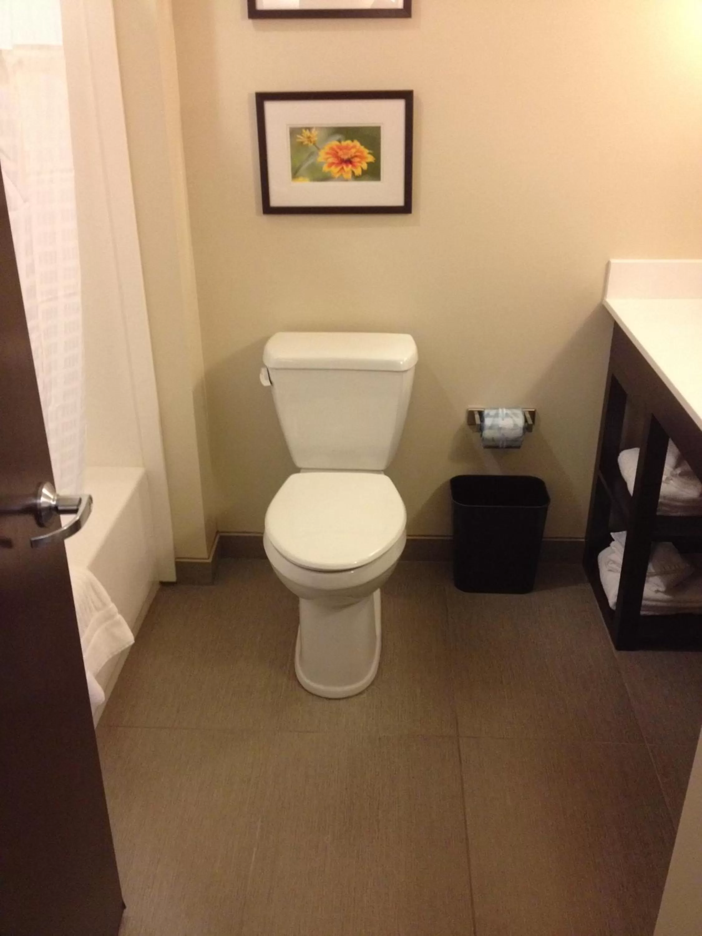 Queen Suite - Non-Smoking in Comfort Suites-Youngstown North