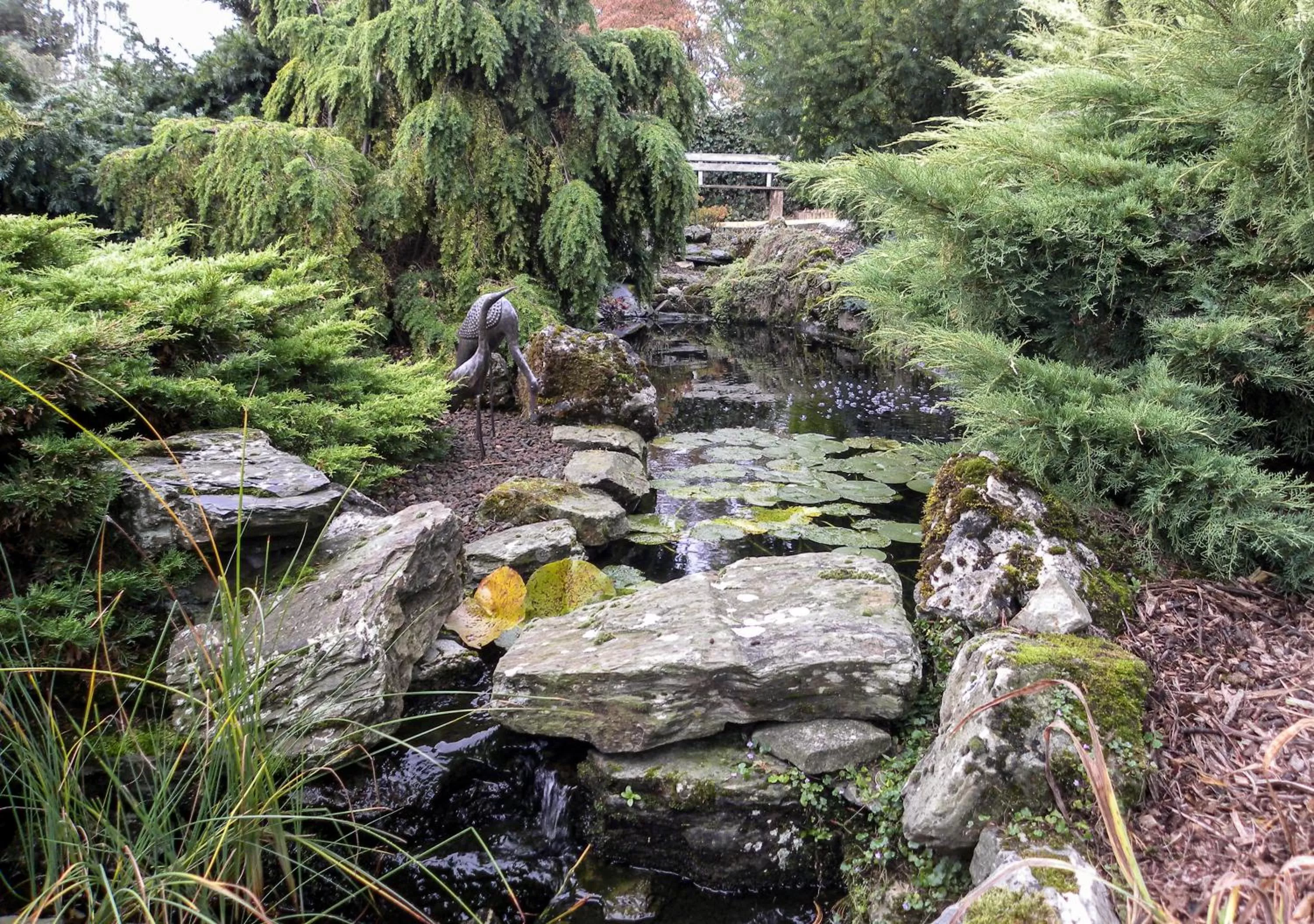 Garden in B&B Plattestien