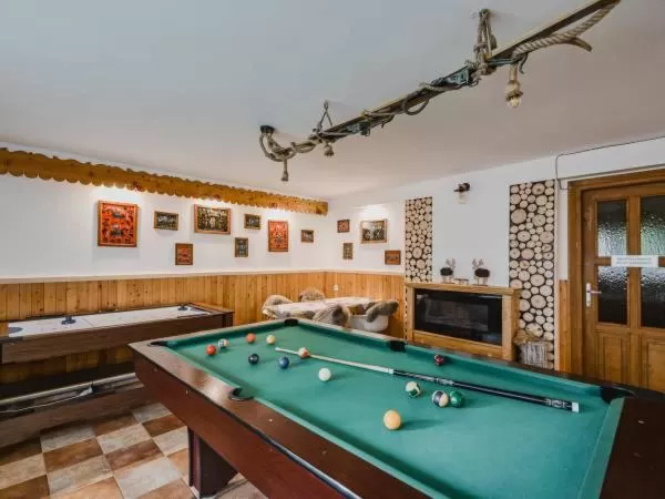 Billiard in Willa 14