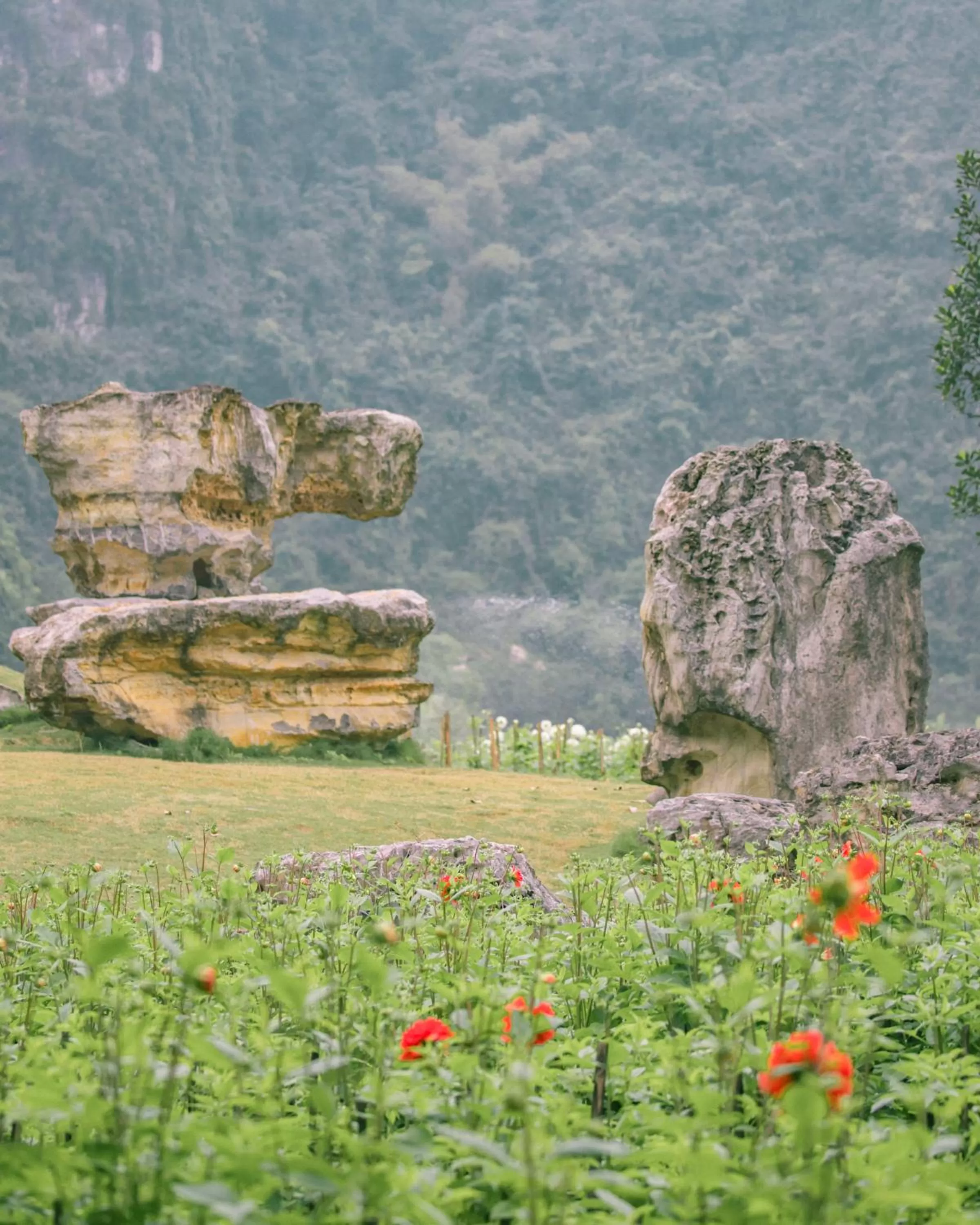 Natural landscape in Thung Nham Resort