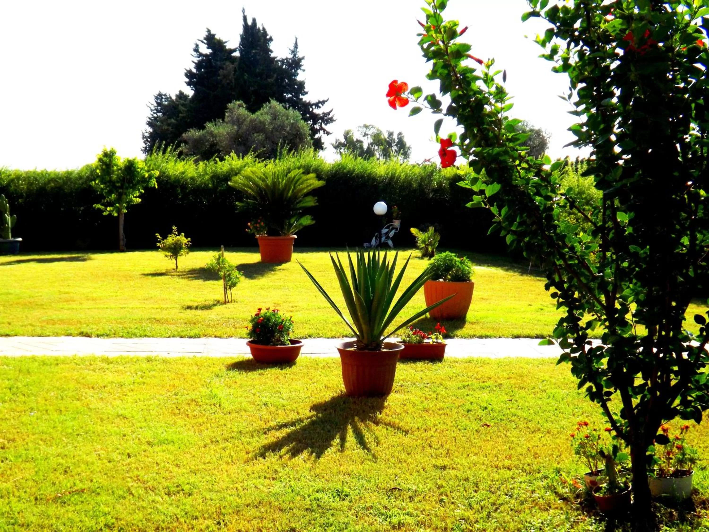 Garden view in Bed & Breakfast La Villetta