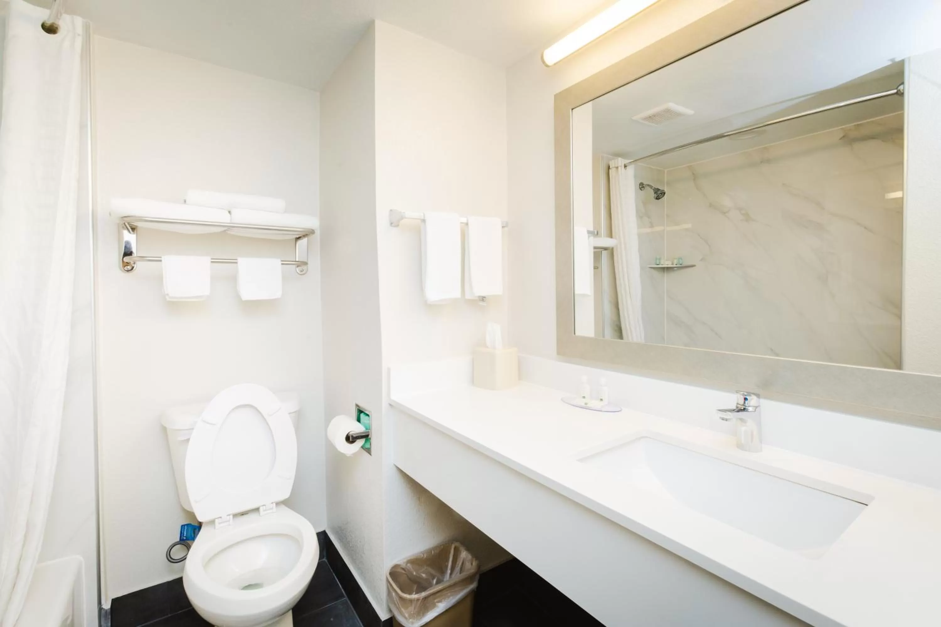 Bathroom in Quality Suites Houston Hobby Airport