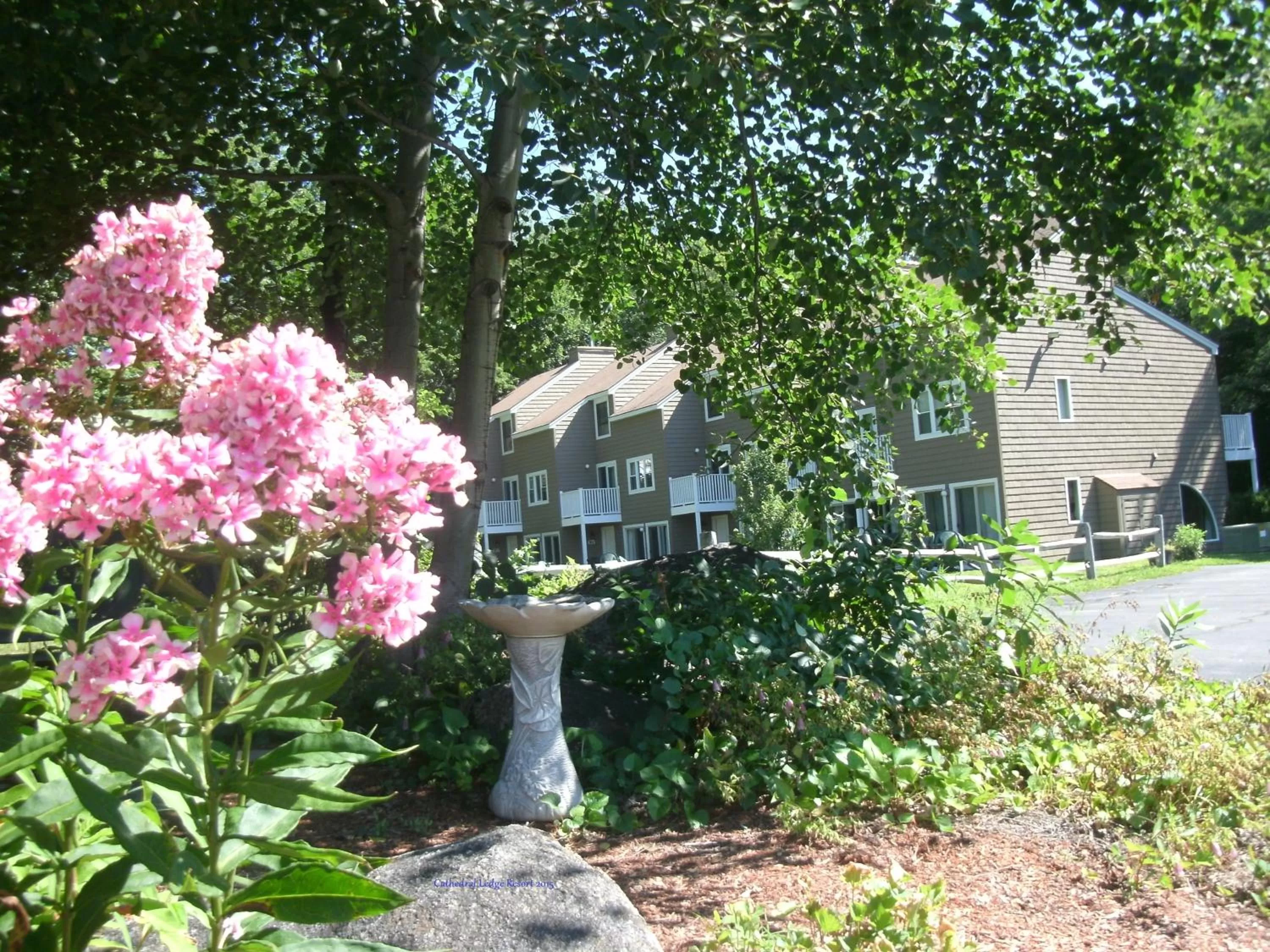 Spring, Property Building in Cathedral Ledge Resort