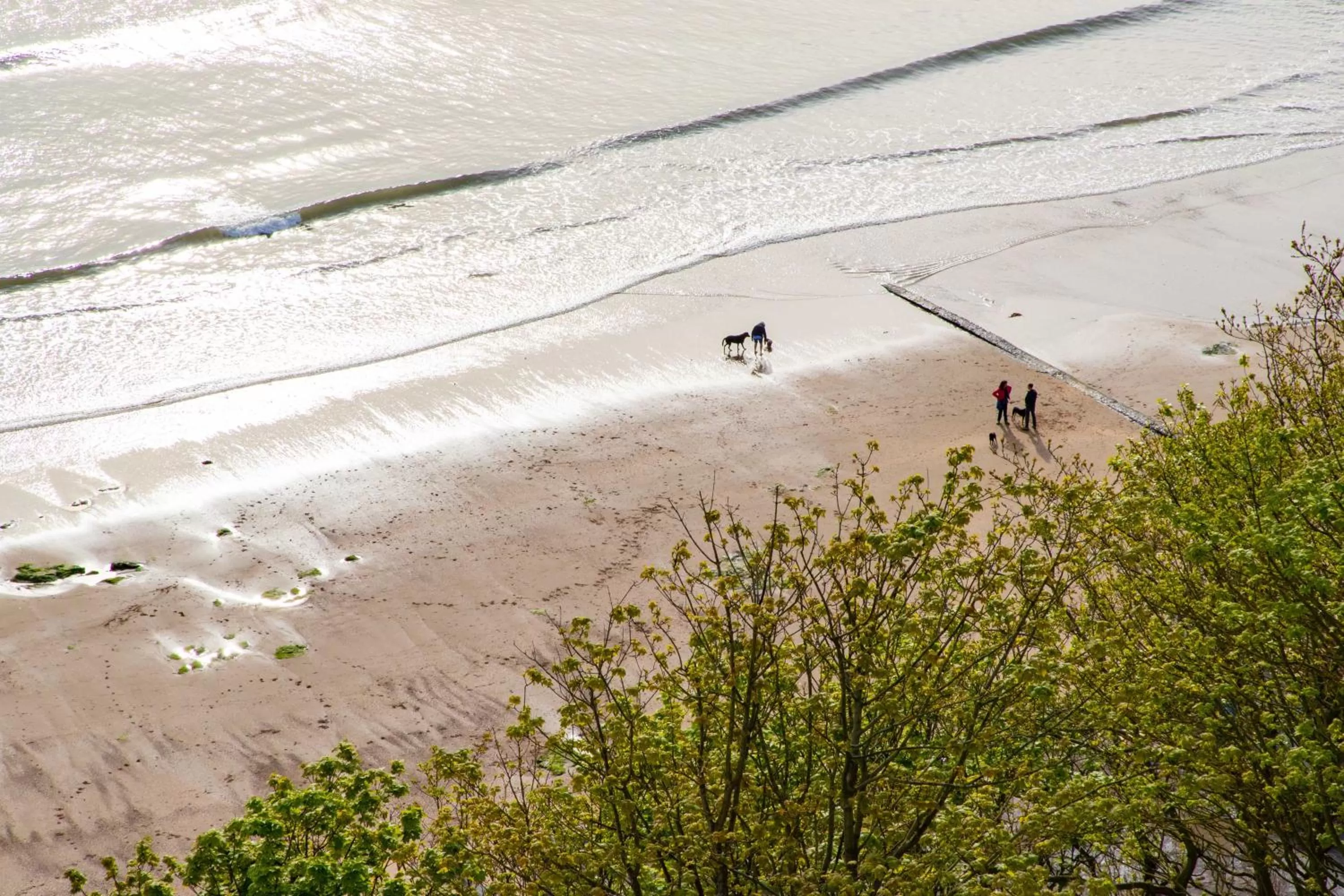 Beach in The Caledonian New Southlands Hotel