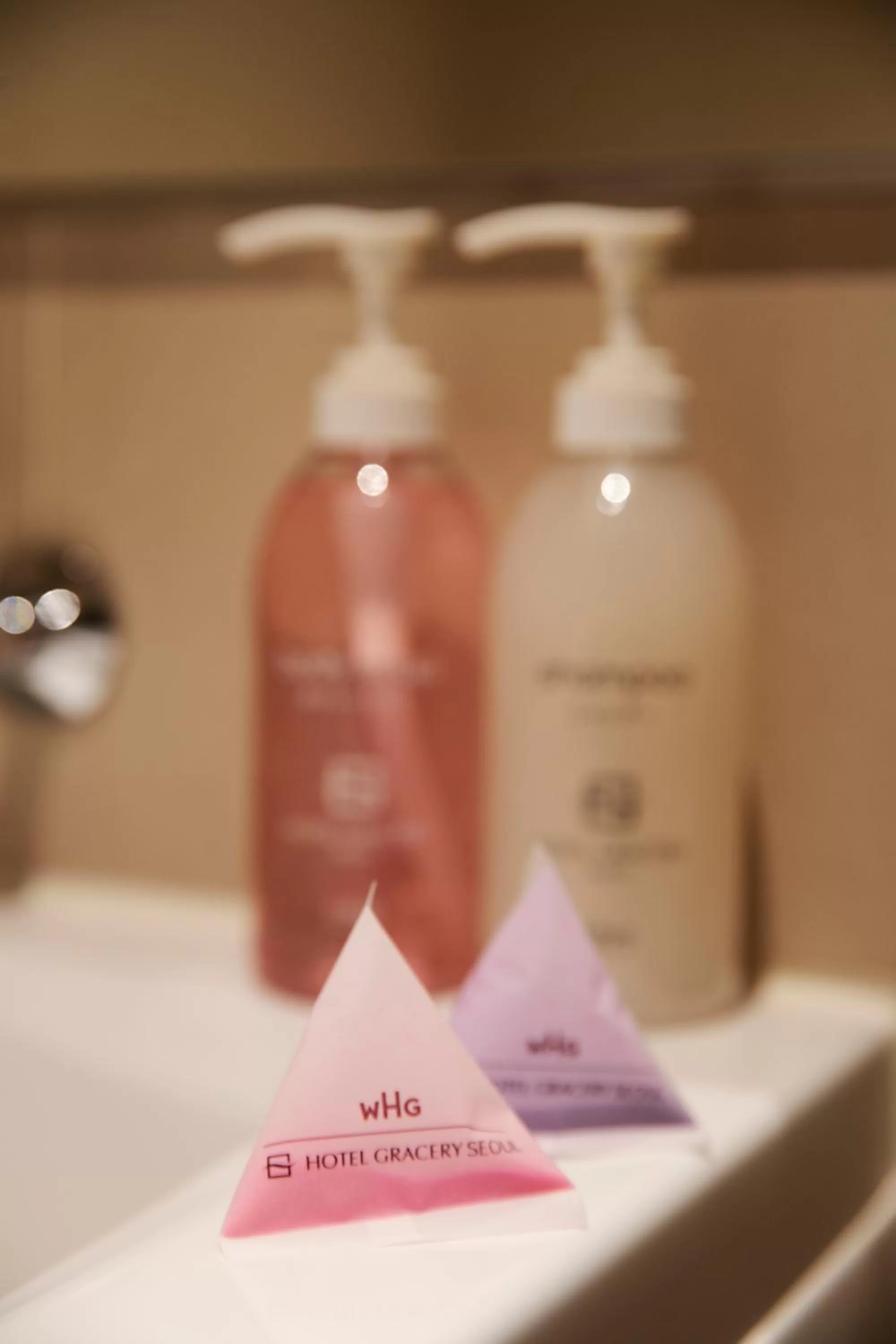 Deluxe Twin Room with Bath in Hotel Gracery Seoul