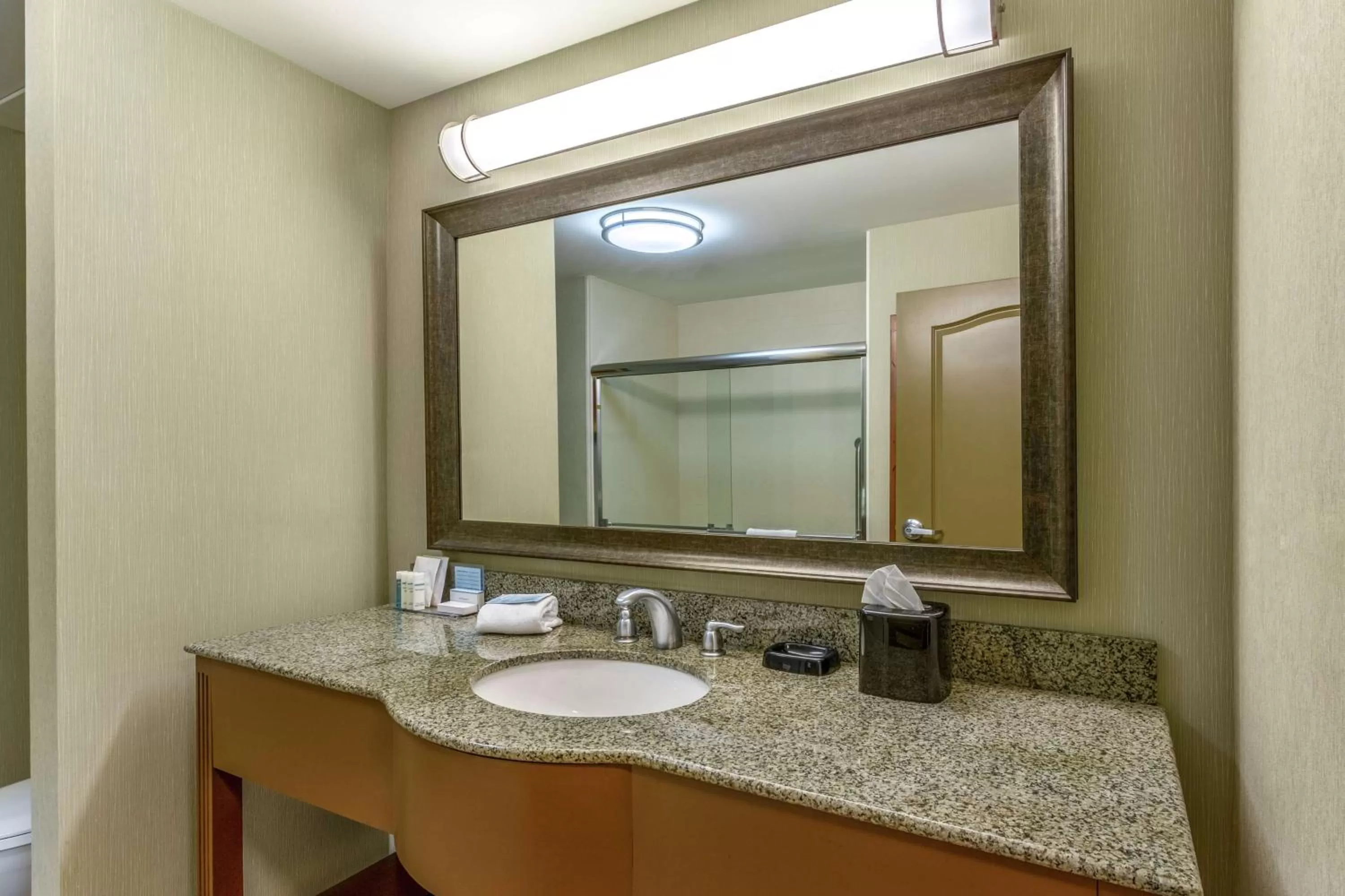 Bathroom in Hampton Inn Okeechobee - Lake Okeechobee