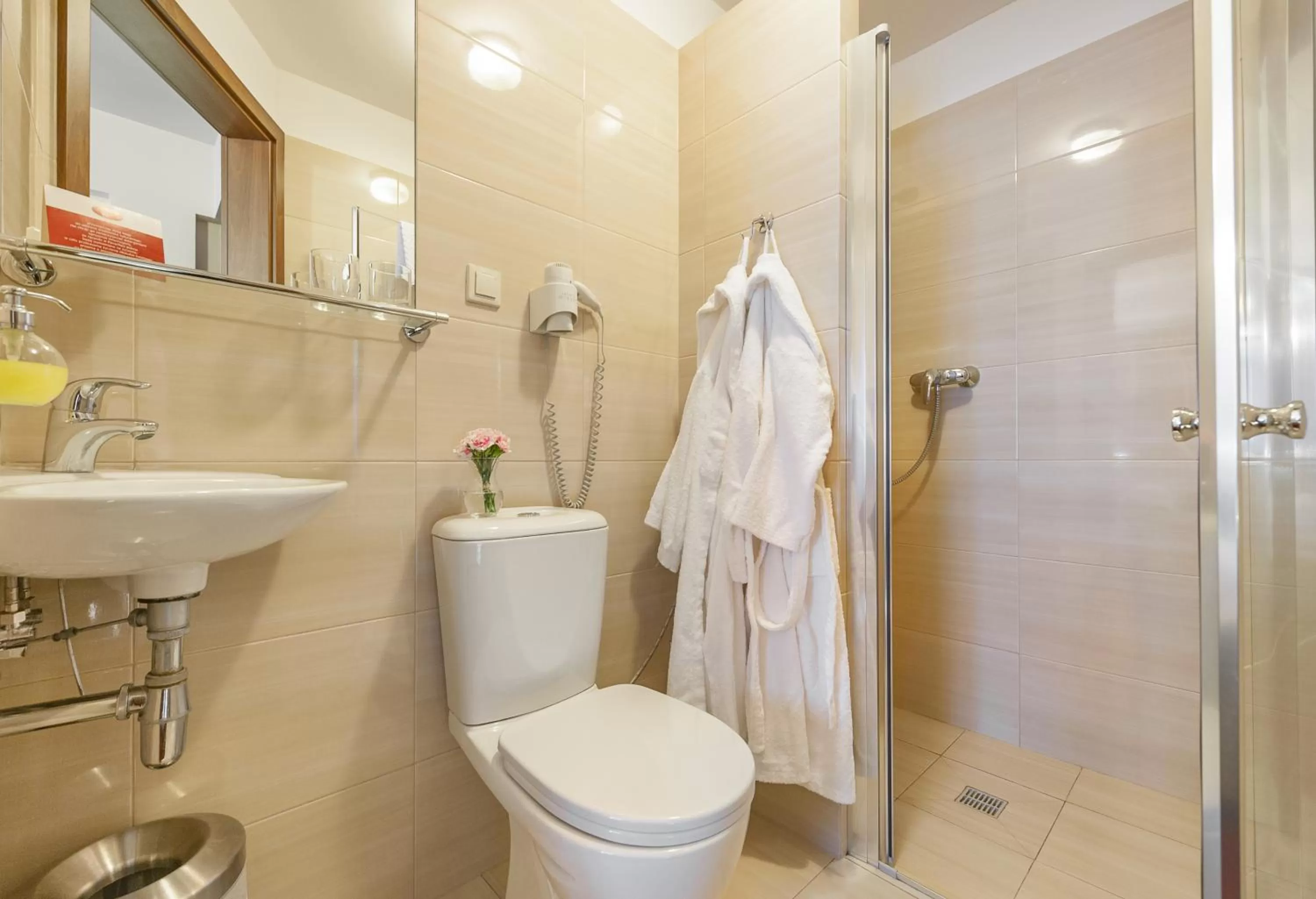 Bathroom in Hotel Alexander