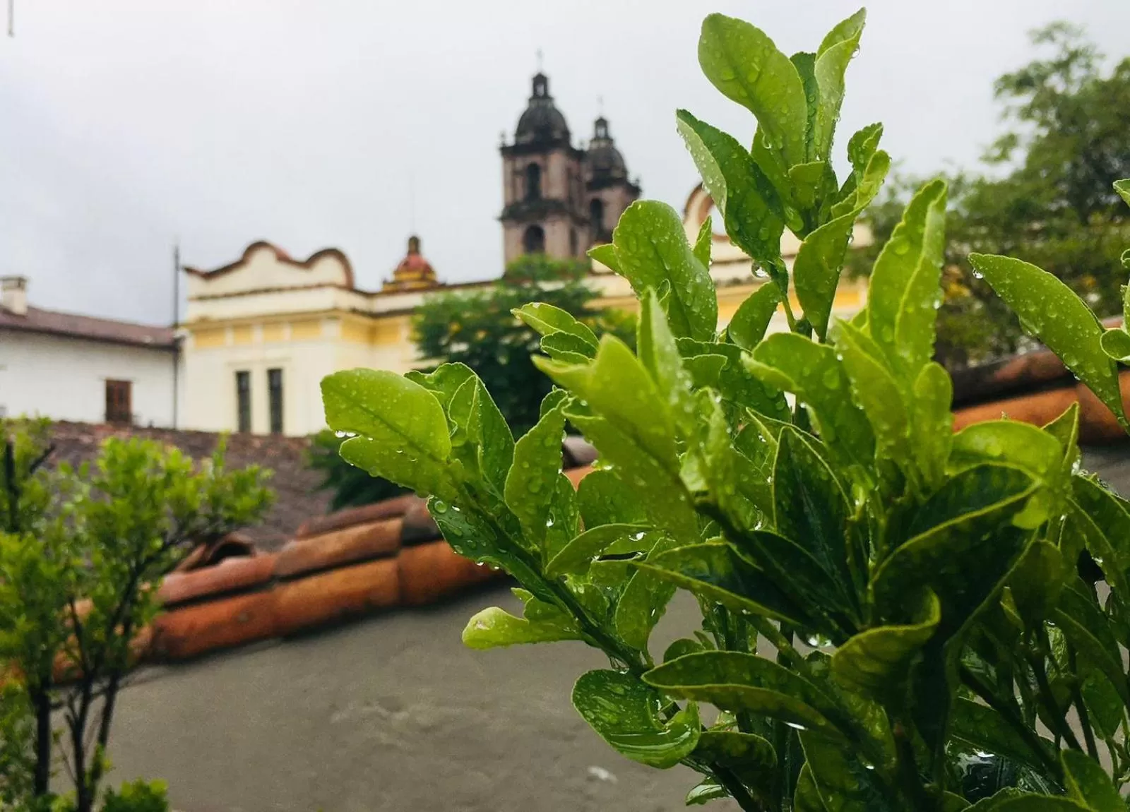 Property building in Arawi Hotel Boutique