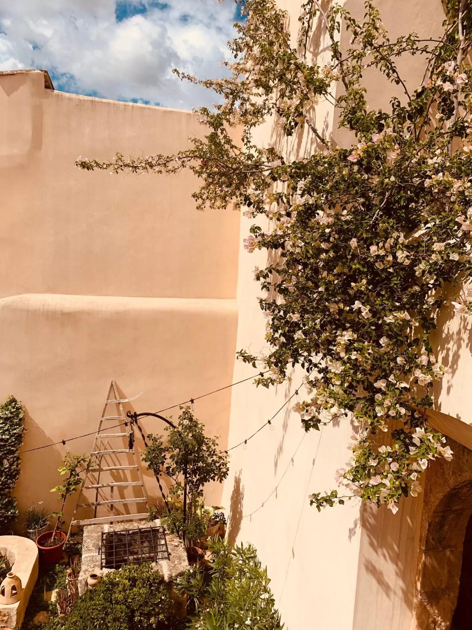 Garden view in Atrium Suites Mallorca